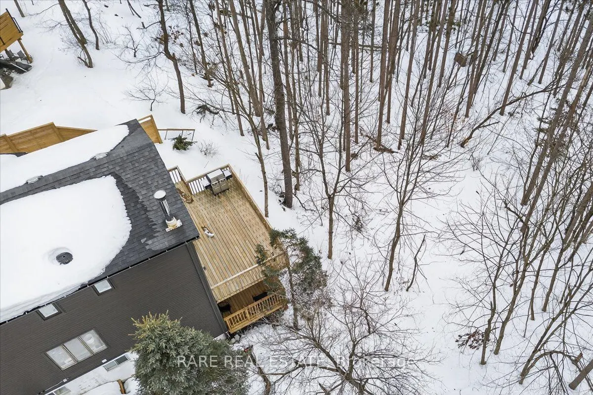 7 Pine Spring