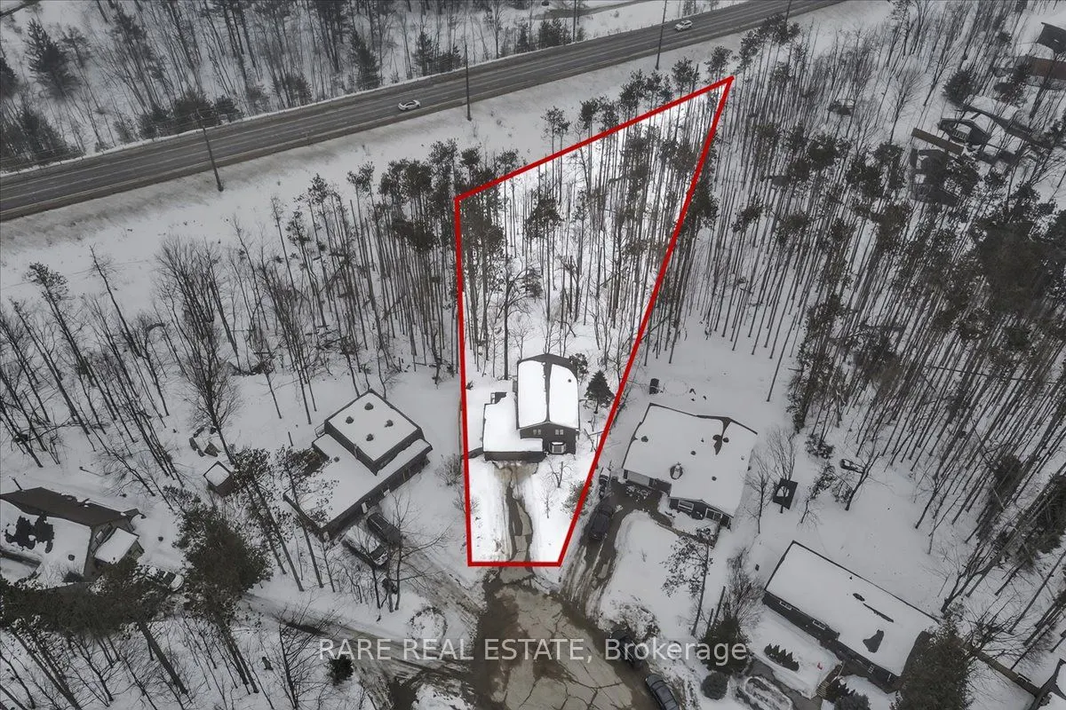 7 Pine Spring