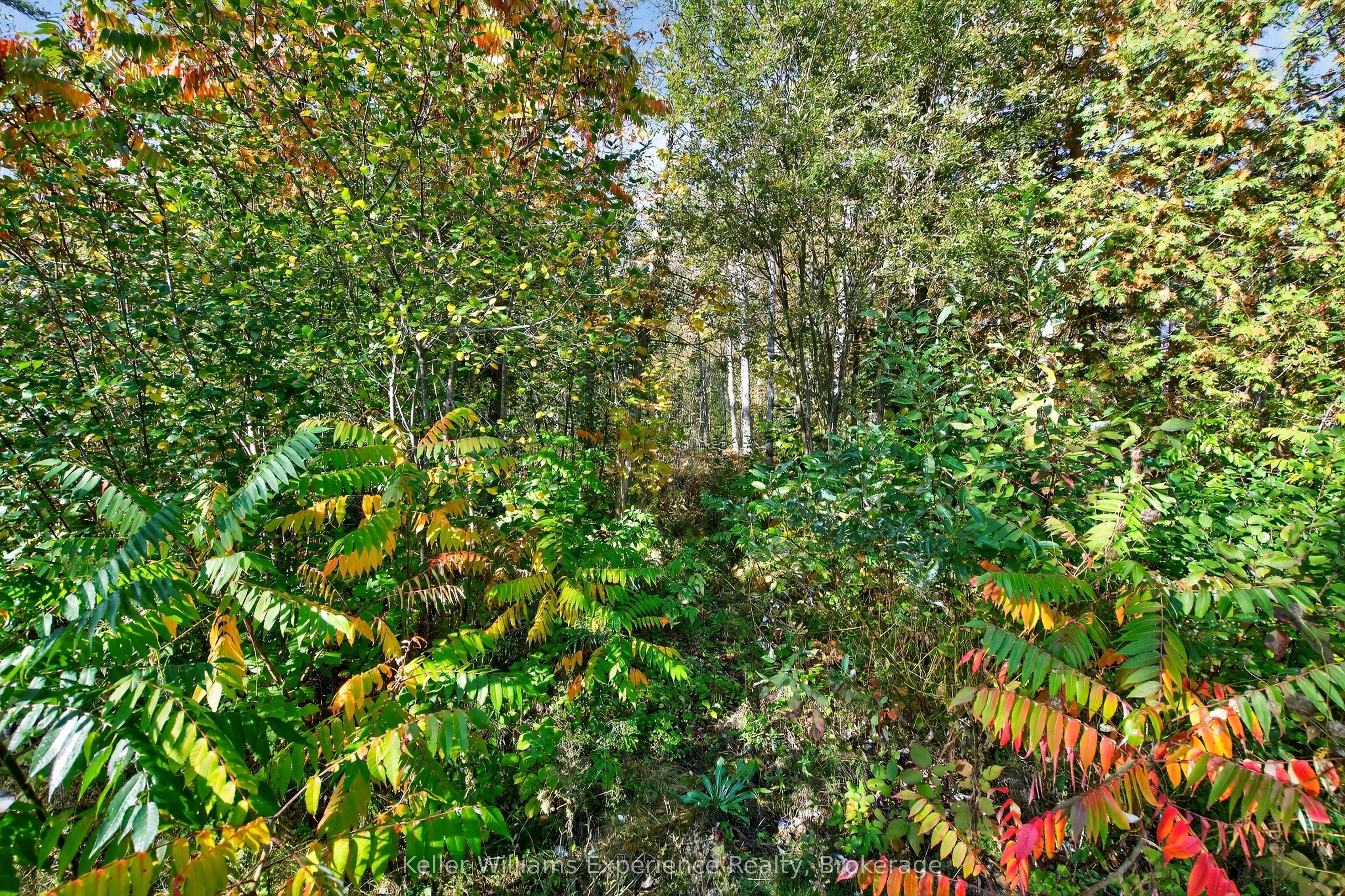 556 Champlain Road