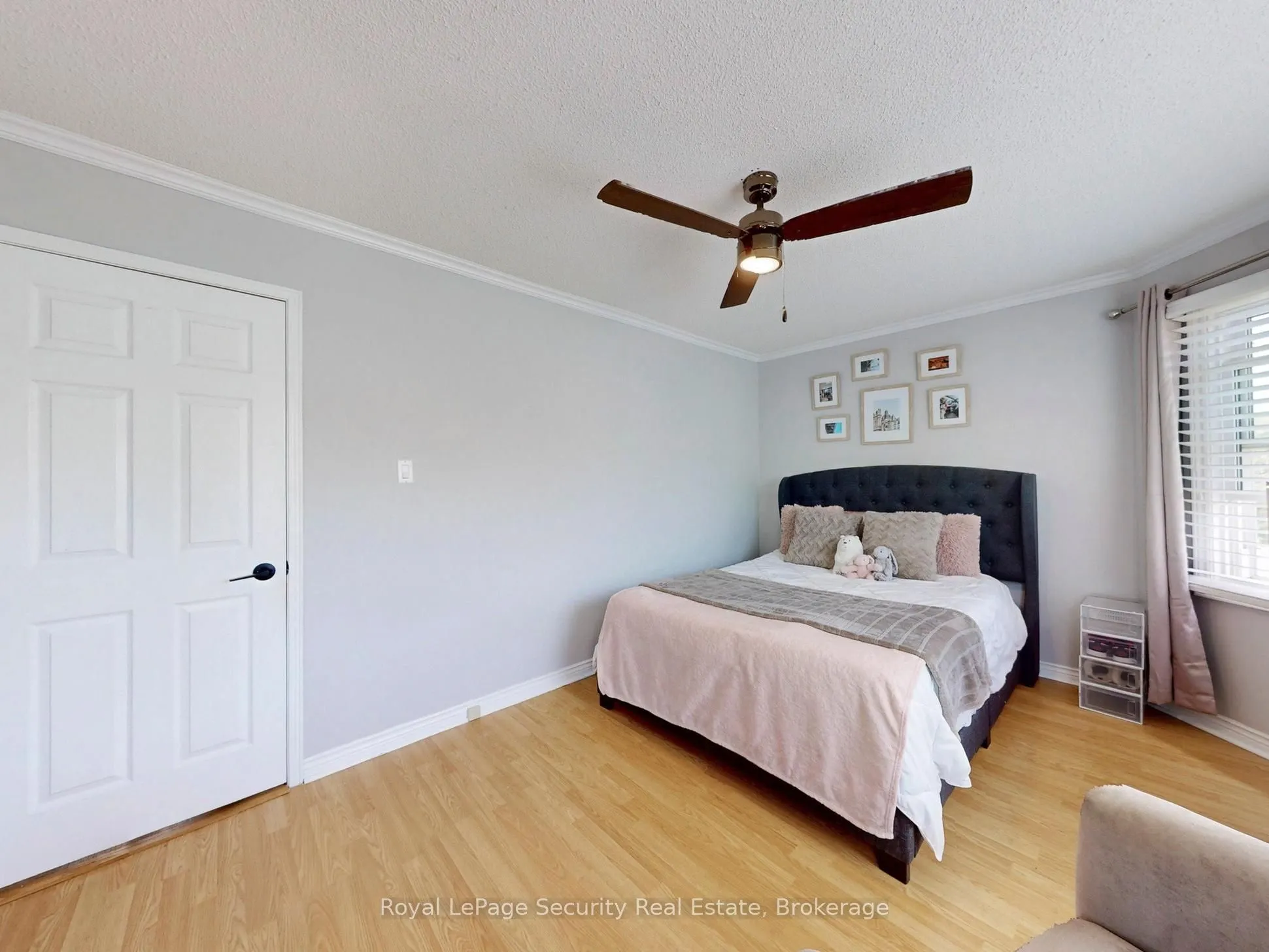 122 Browning Trail