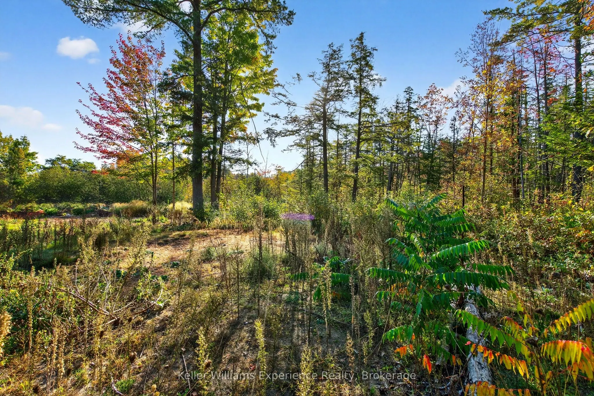 556 Champlain Road