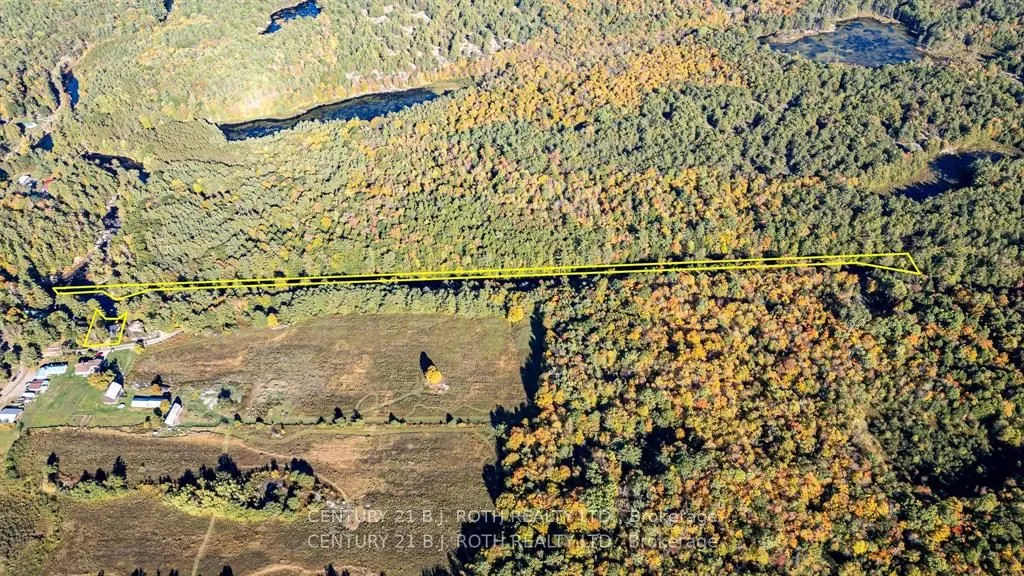 8101 Kings River Road