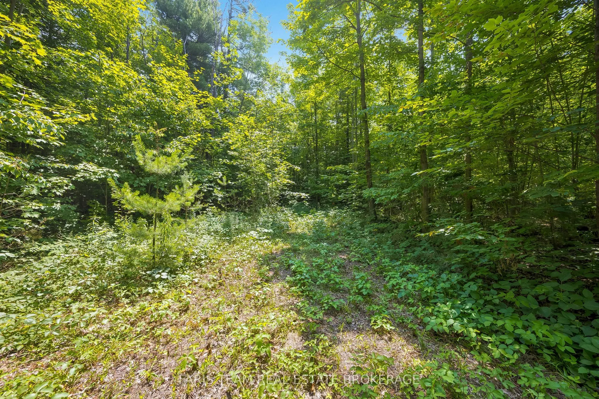 PT LT 40 Horseshoe Valley Road W