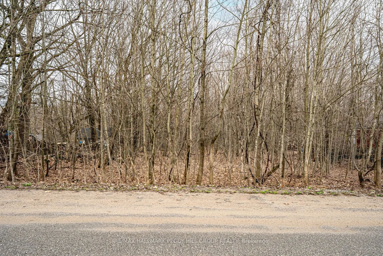 17 Valleyview Drive