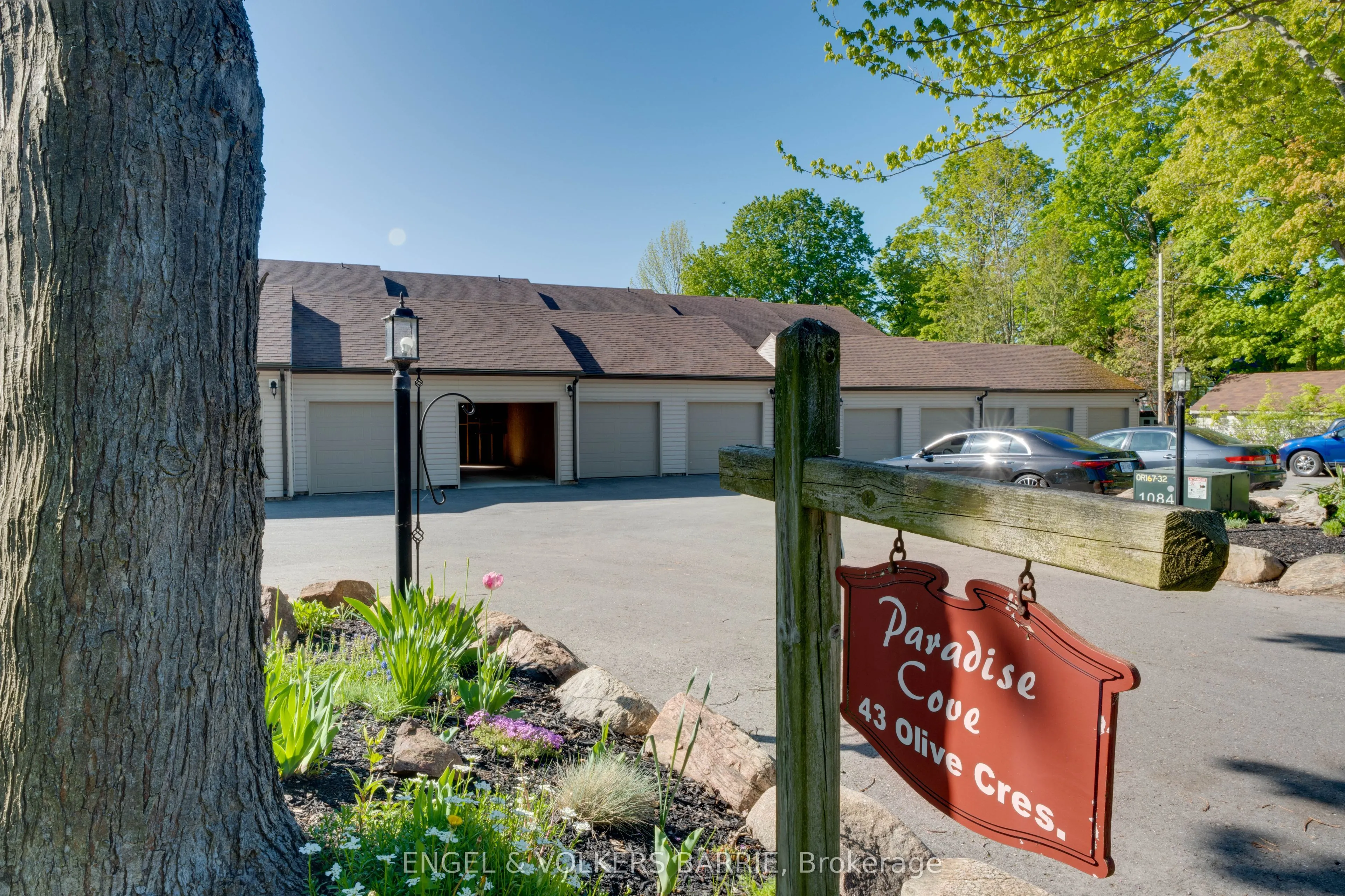 43 Olive Crescent #204