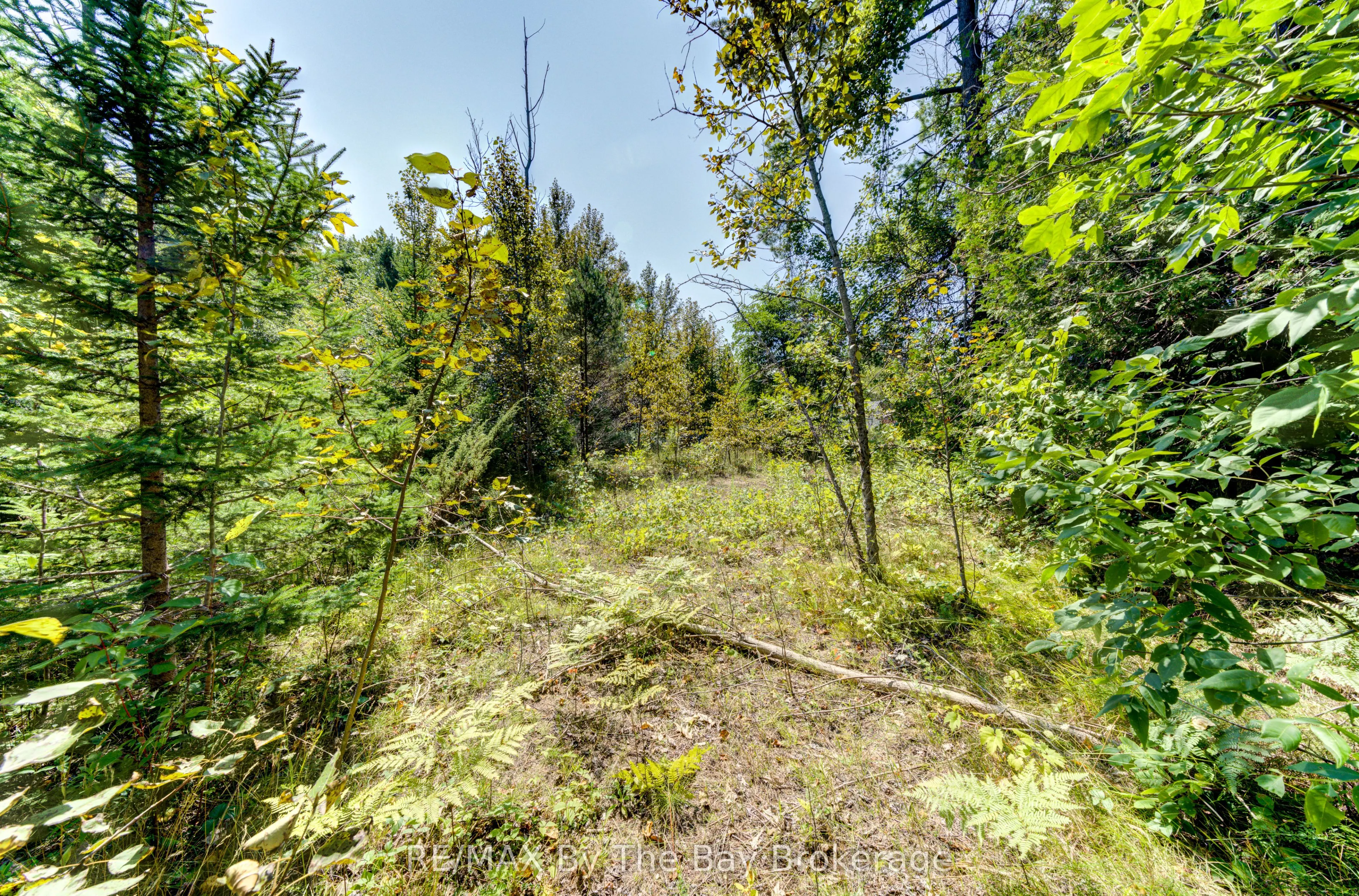 Lot 55 55th Street S