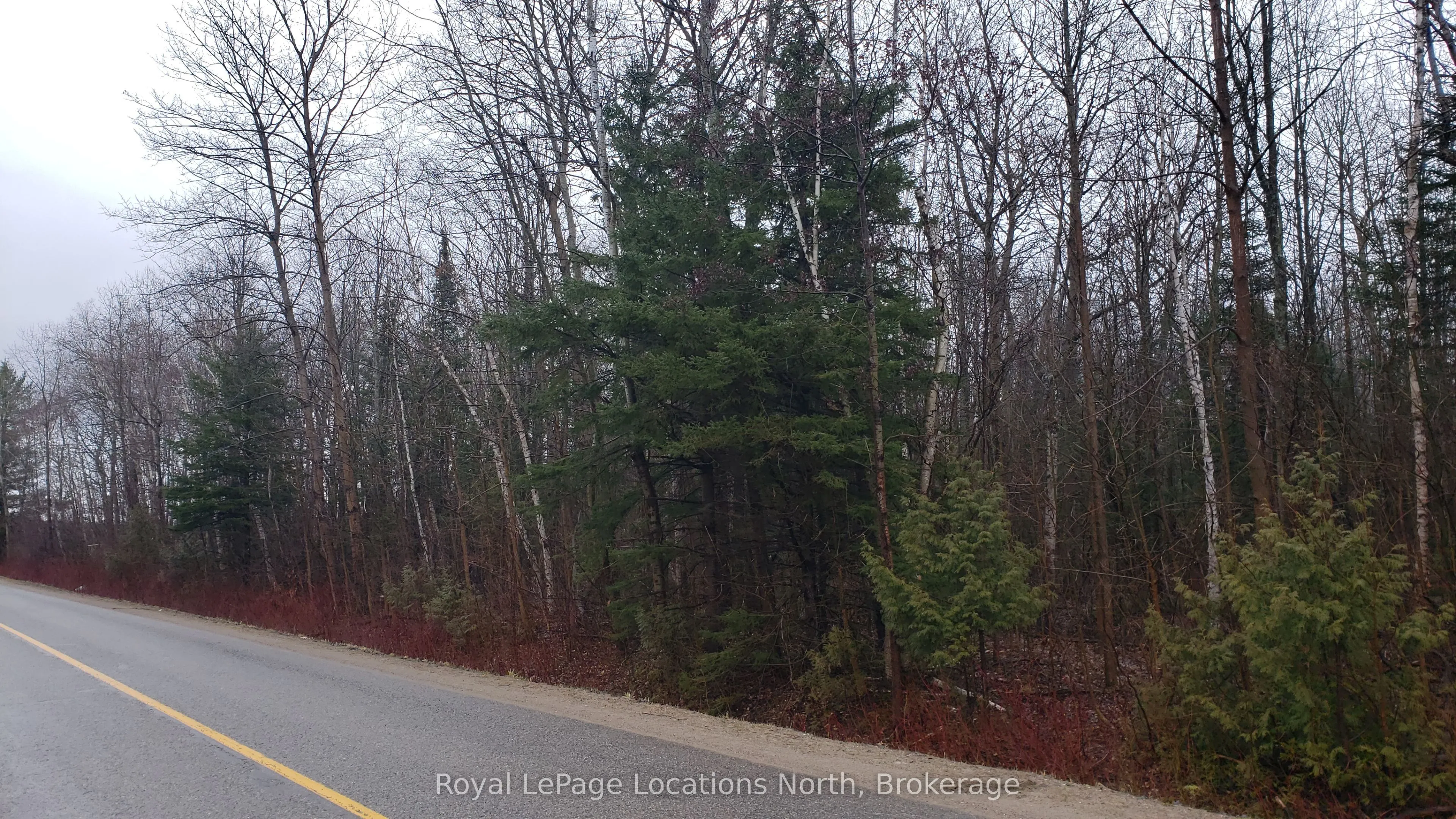 6125 Second Concession Road