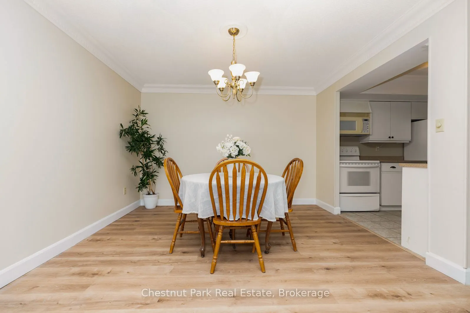 172 Eighth Street #102