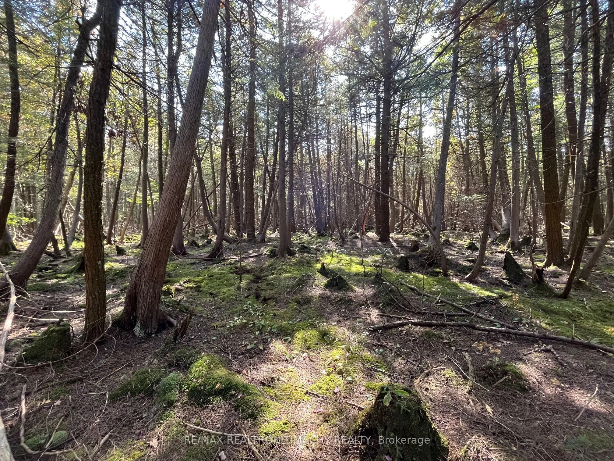 Lot 25 Champlain Road