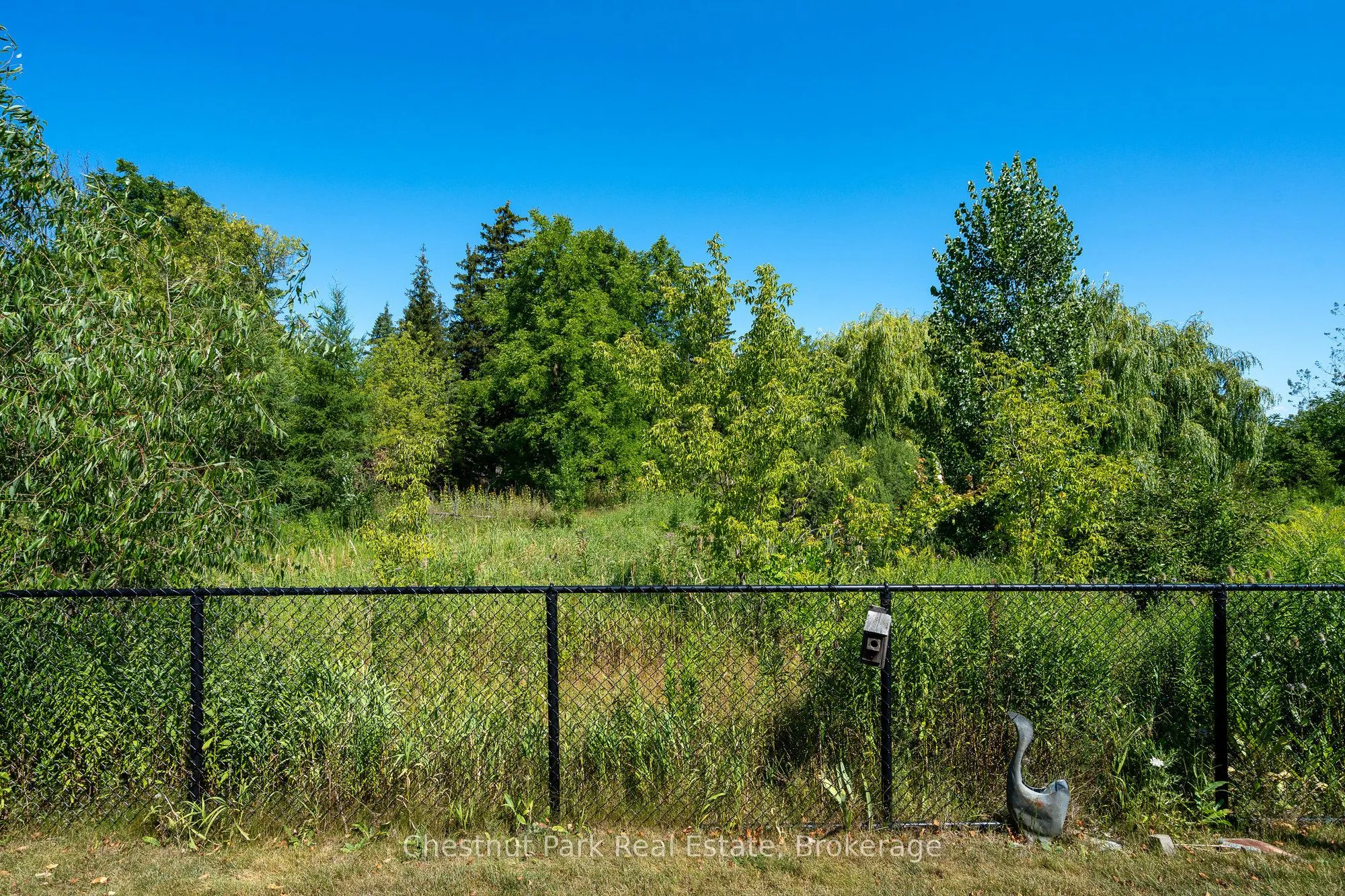 77 Findlay Drive