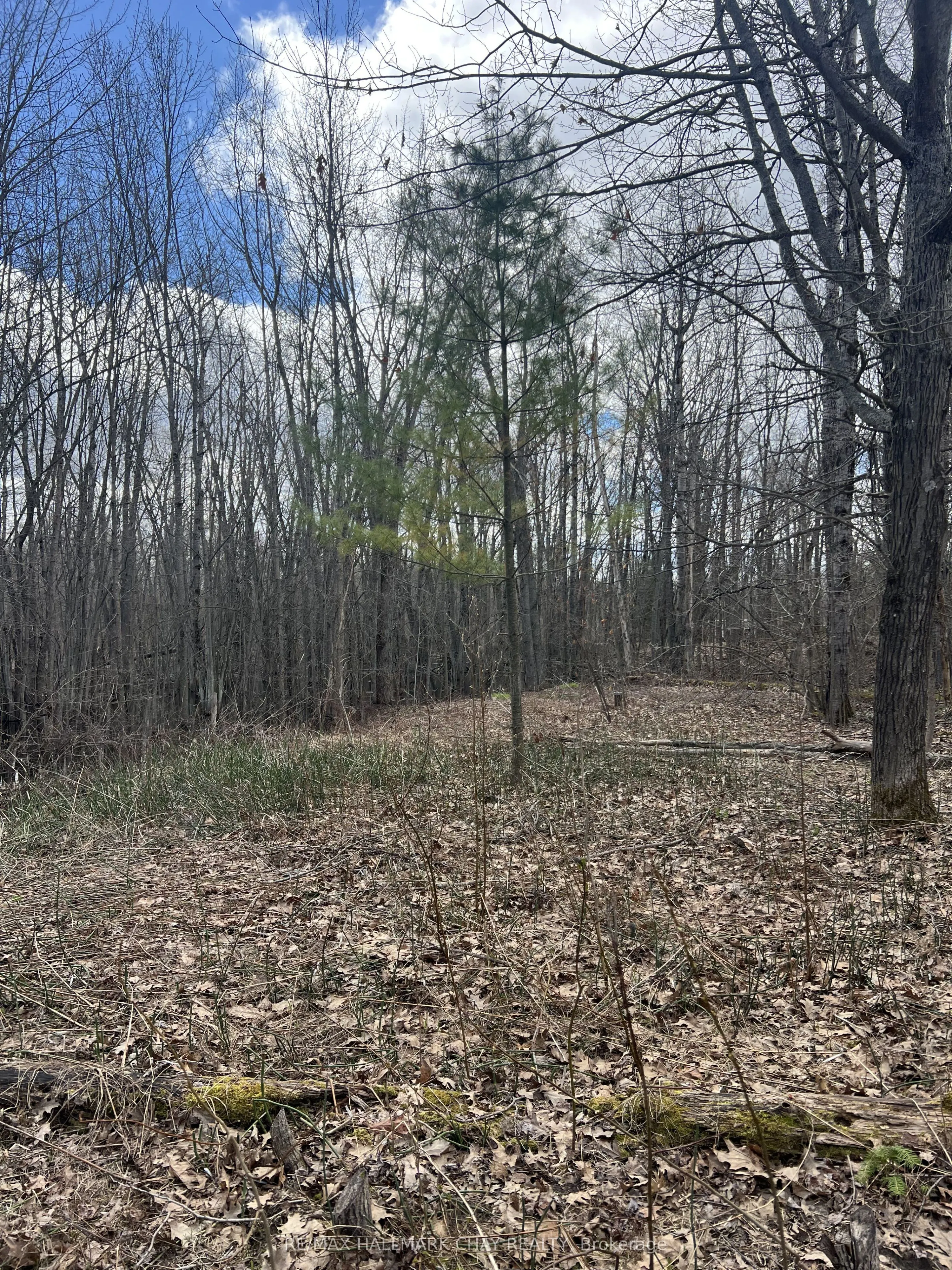 3159 Switch Road