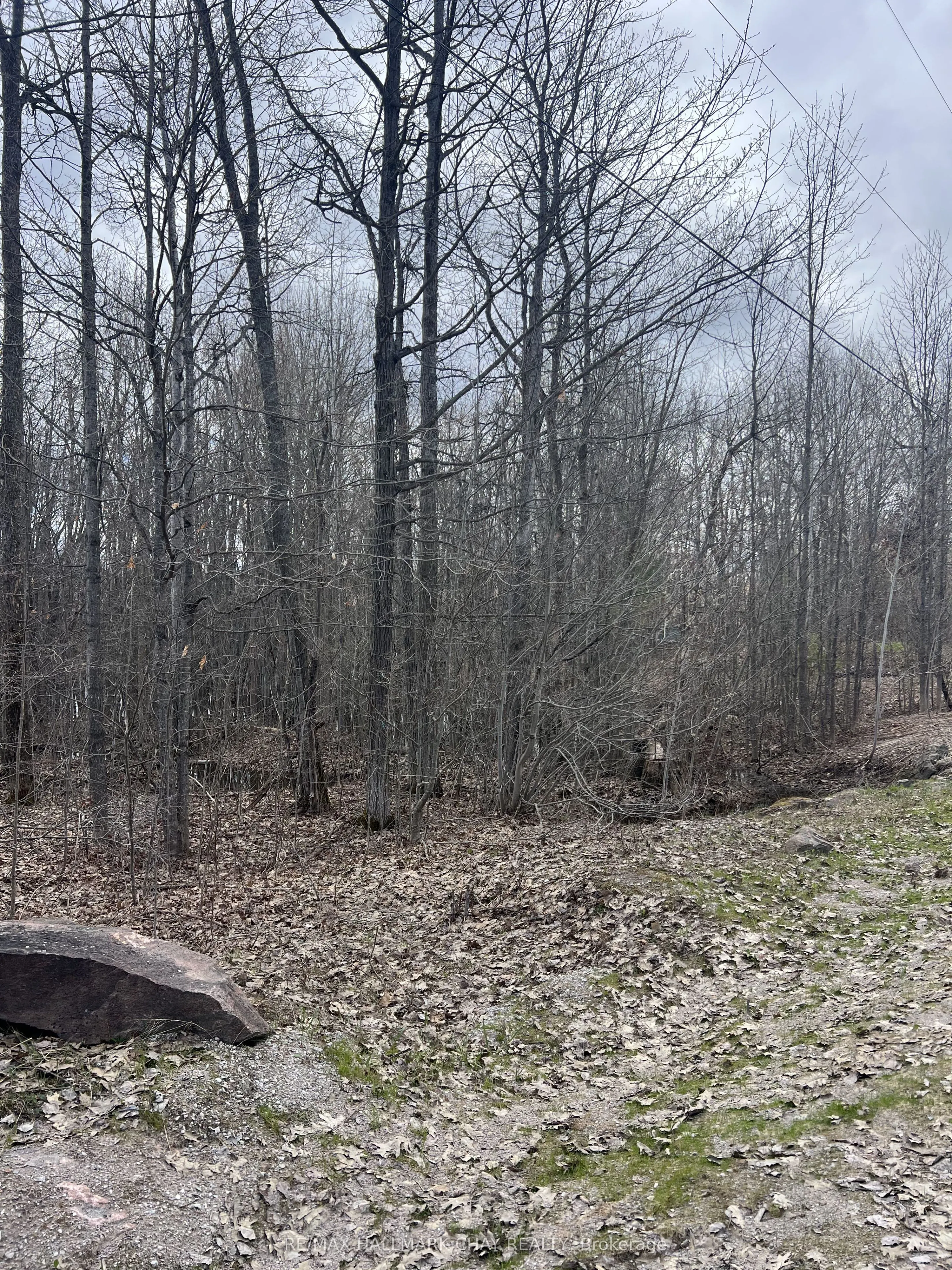 3159 Switch Road