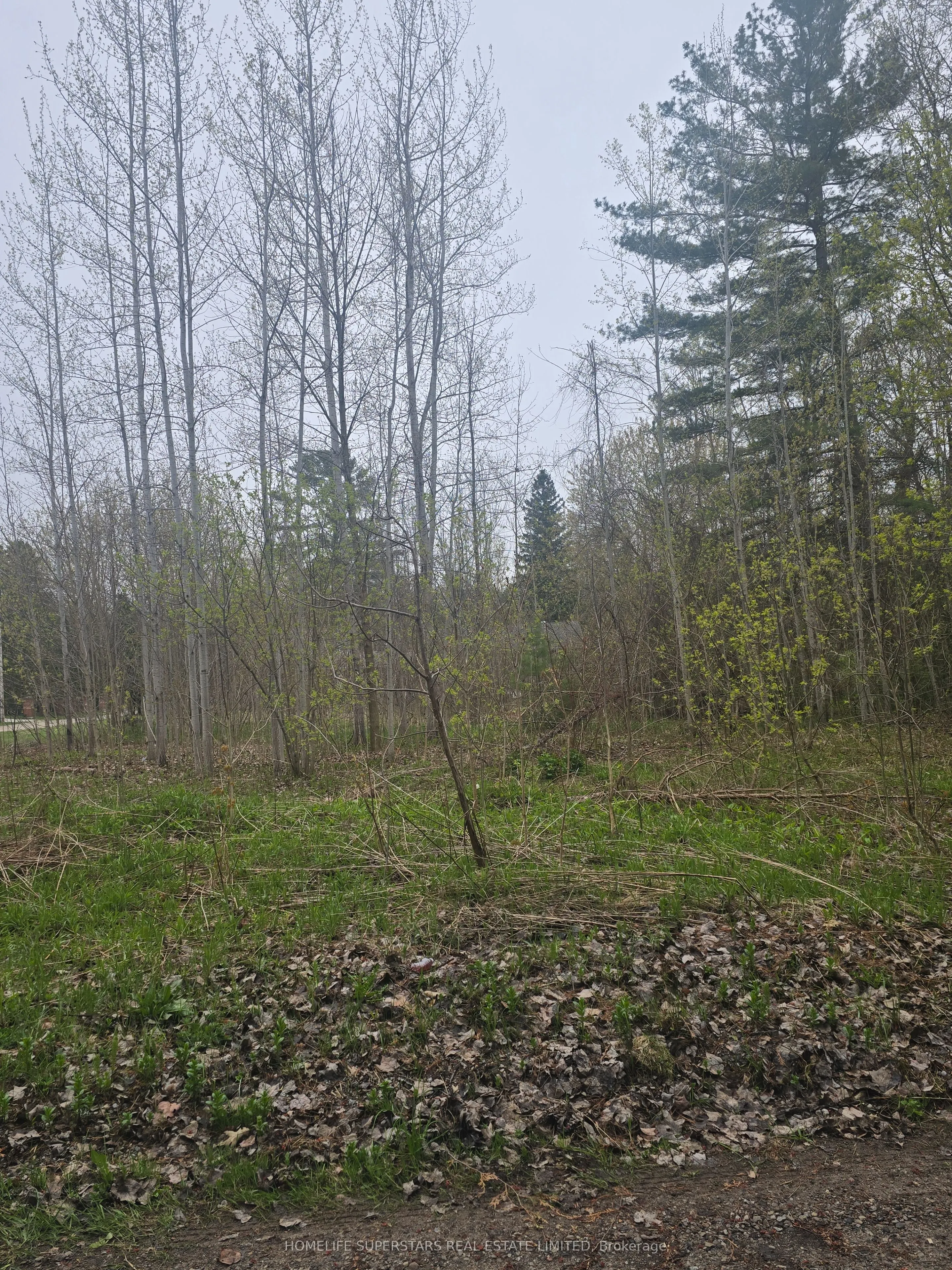 LT 147 PILON Road