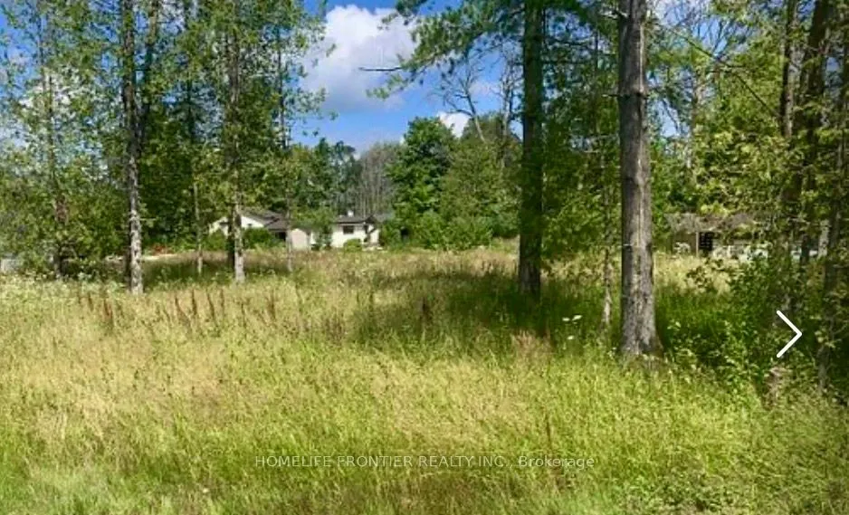 0 Symond Avenue