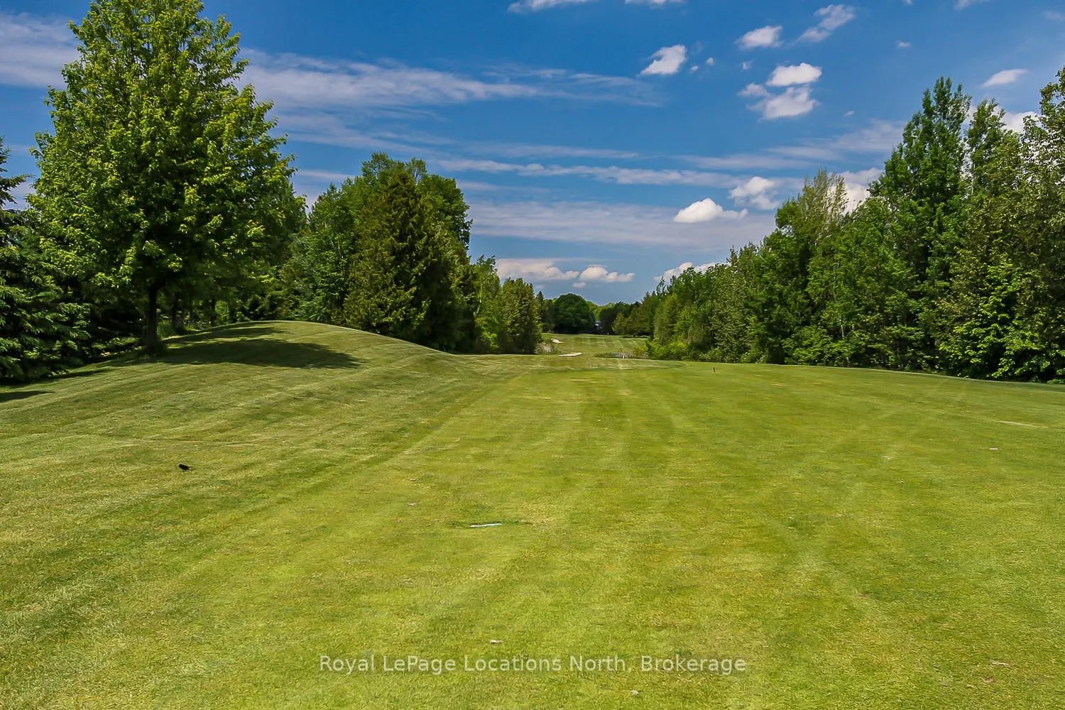 30 Mulligan Lane #8