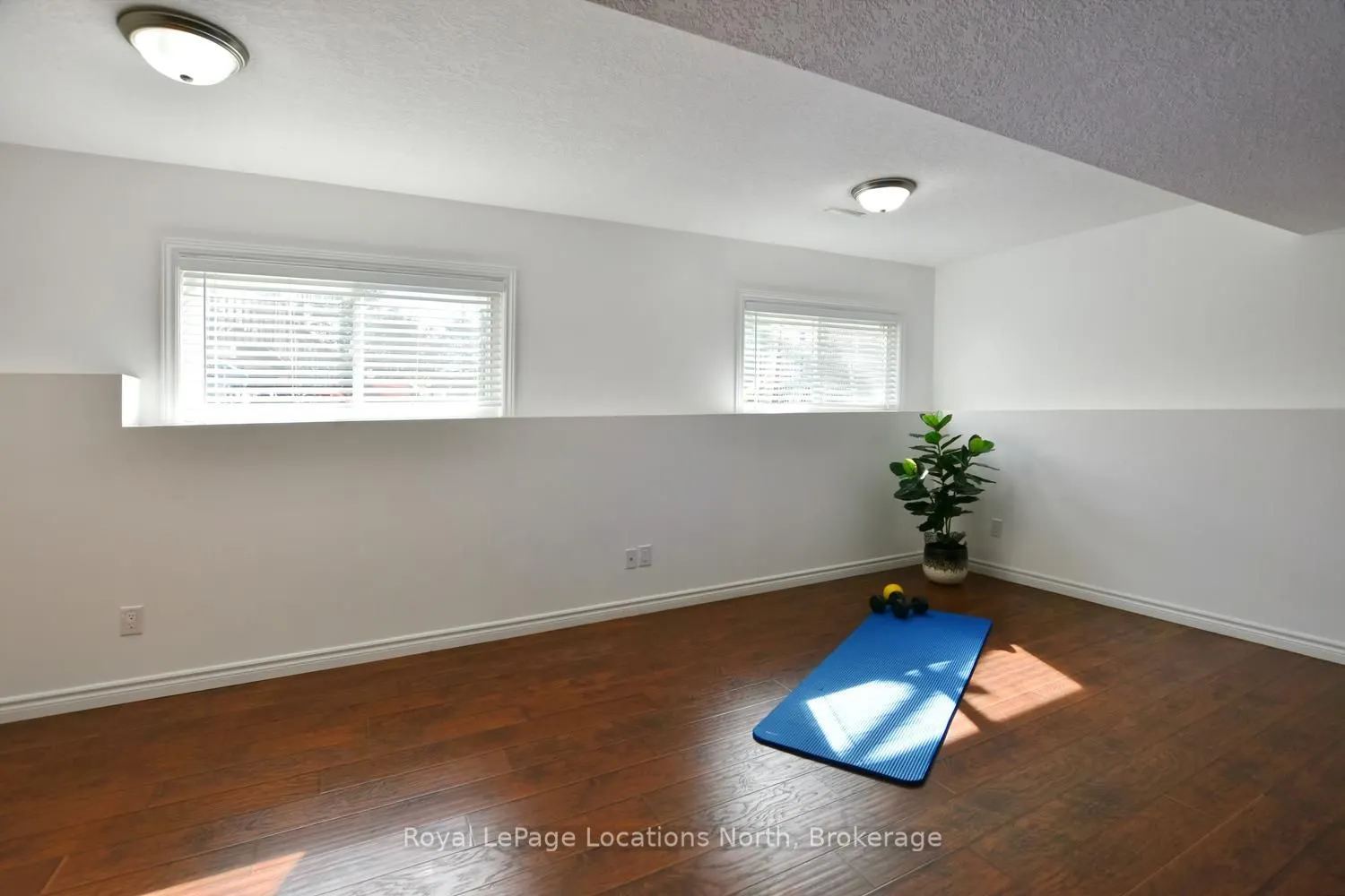 155 Lily Drive