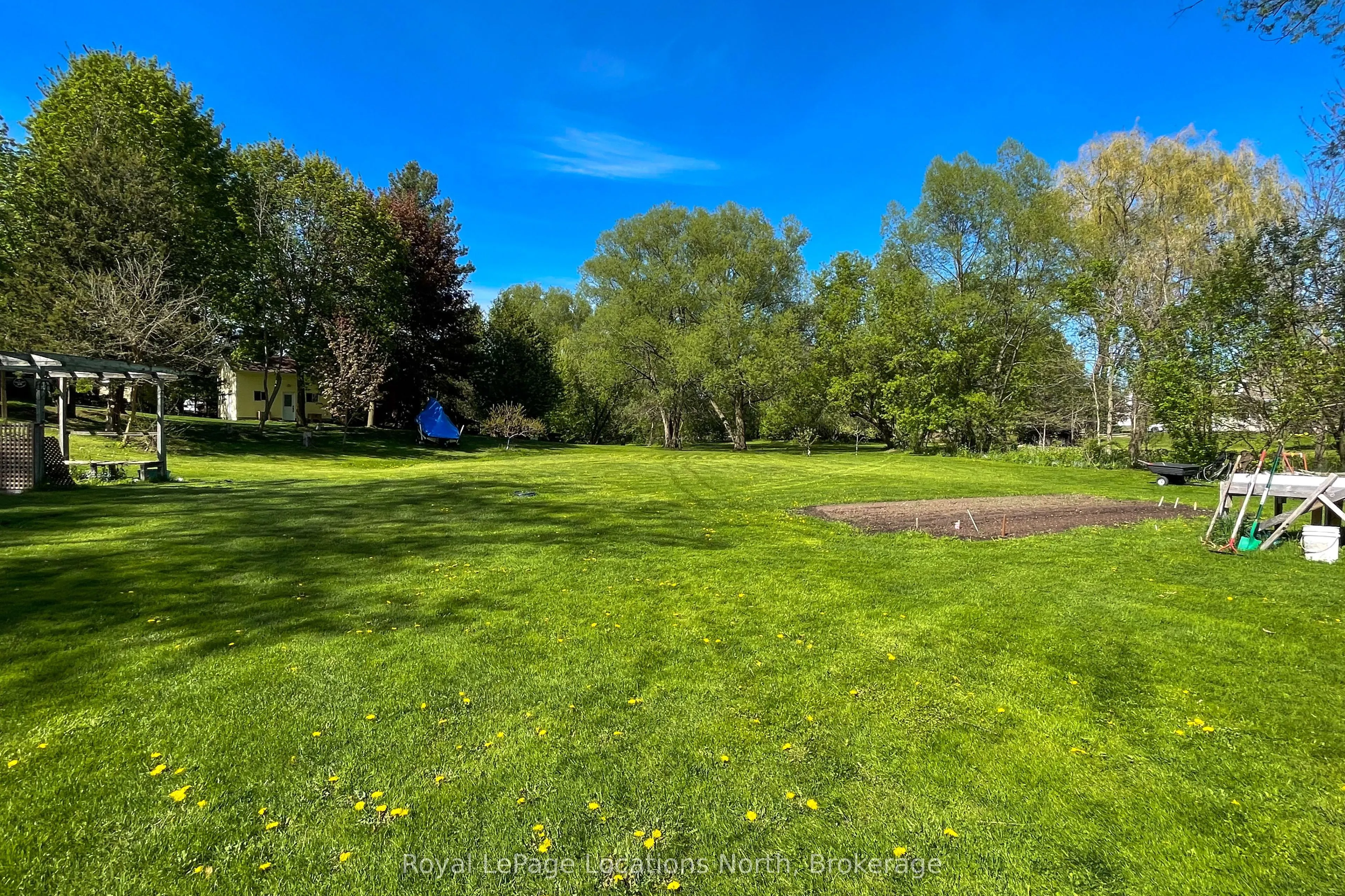 217 Dominion Drive