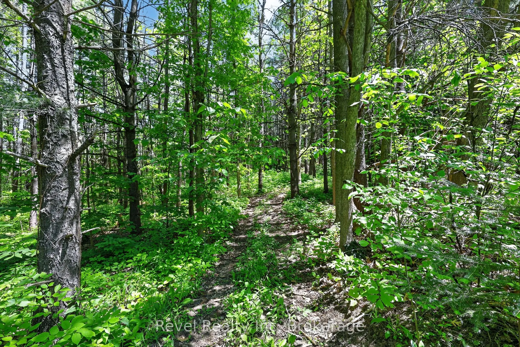 2391 Rumney Road
