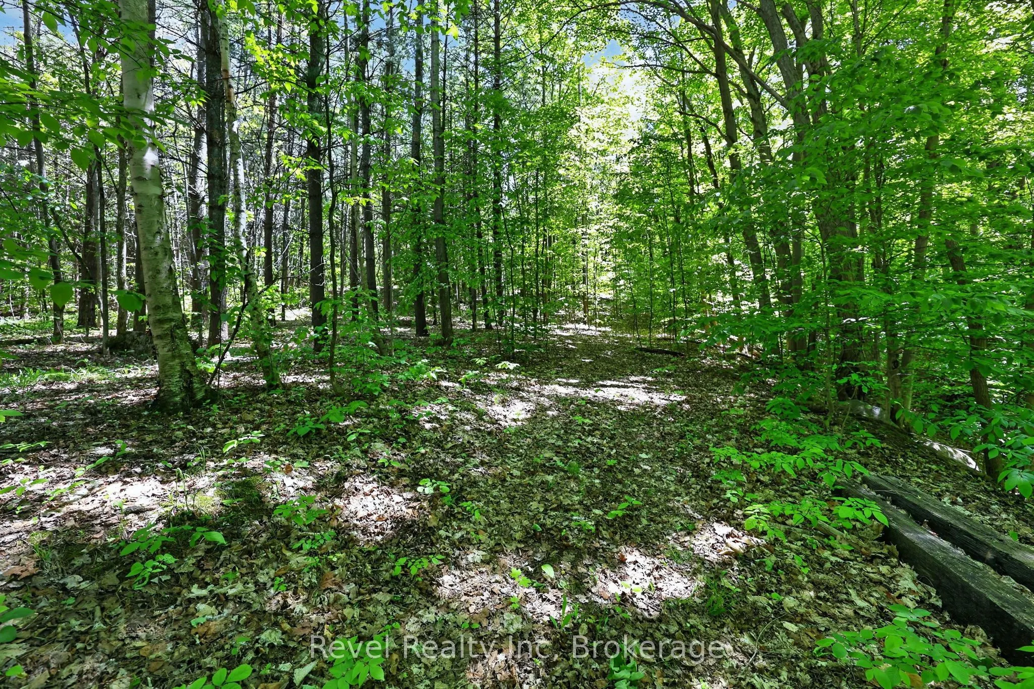 2391 Rumney Road