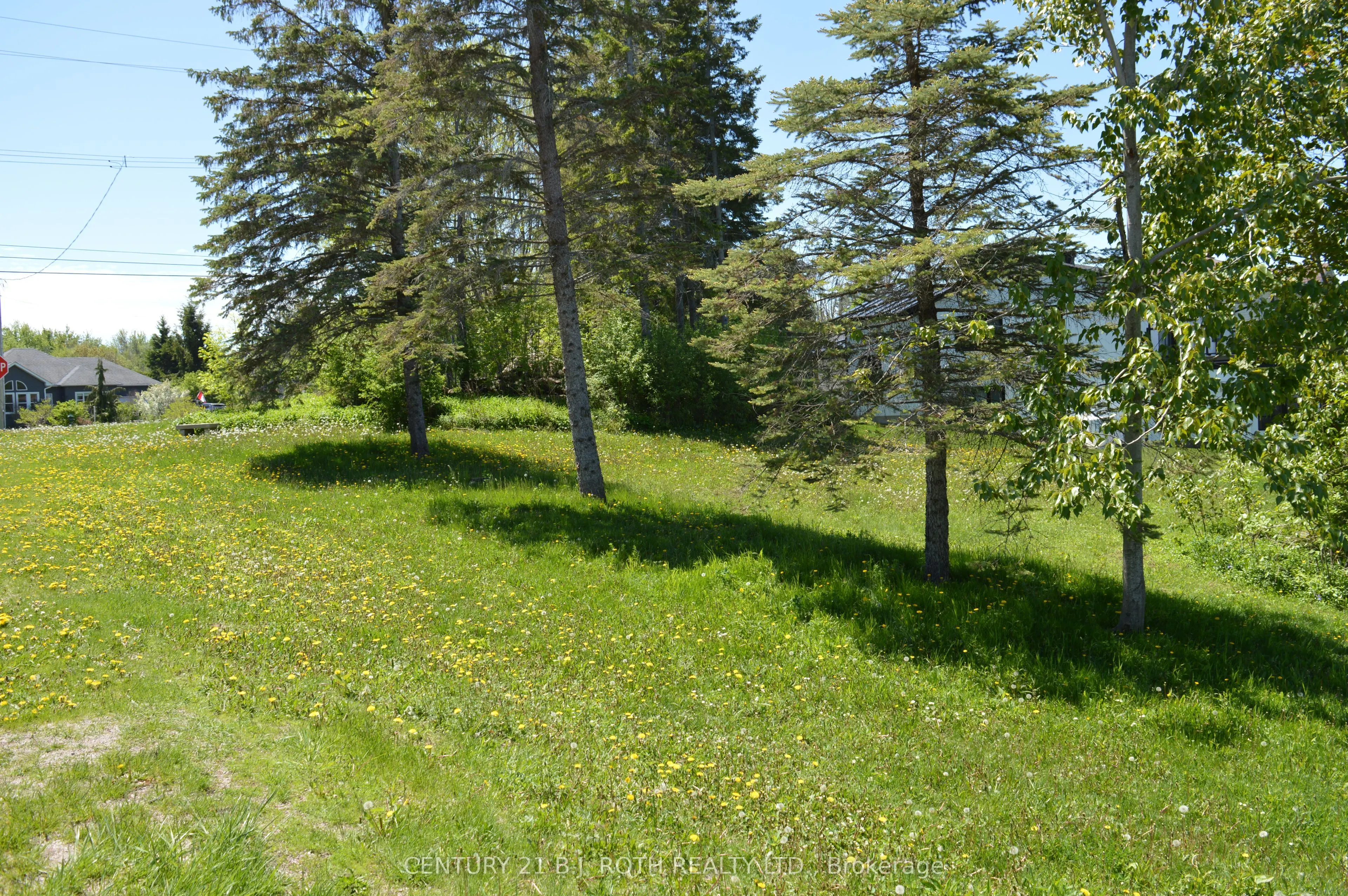 86 Simcoe Road