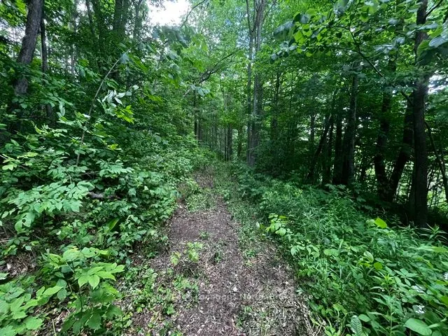 8840 9 County Road