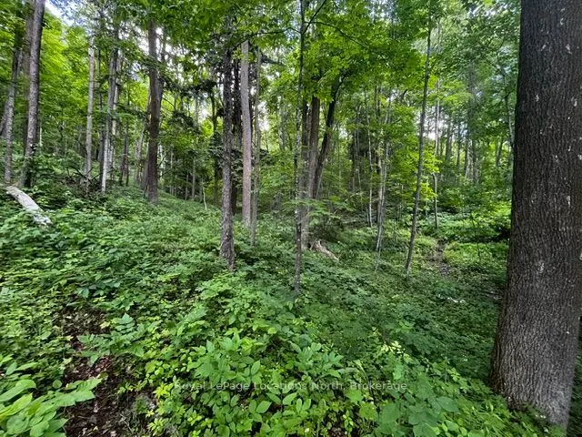 8840 9 County Road