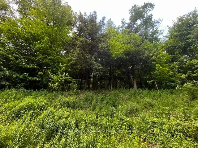 8840 9 County Road