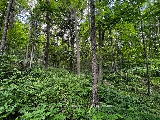 8840 9 County Road