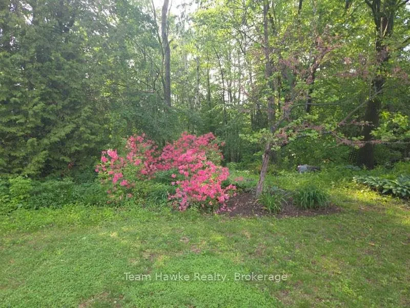 321 Glenbrook Drive