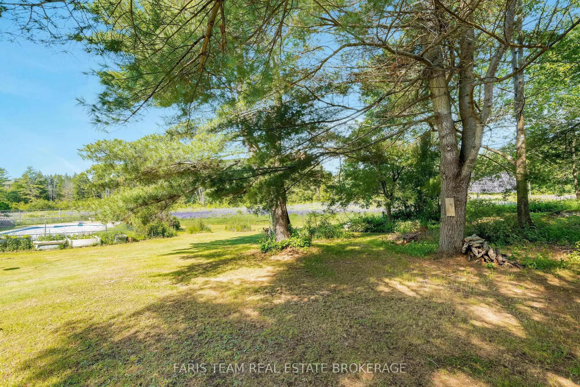 3146 Wasdell Falls Road