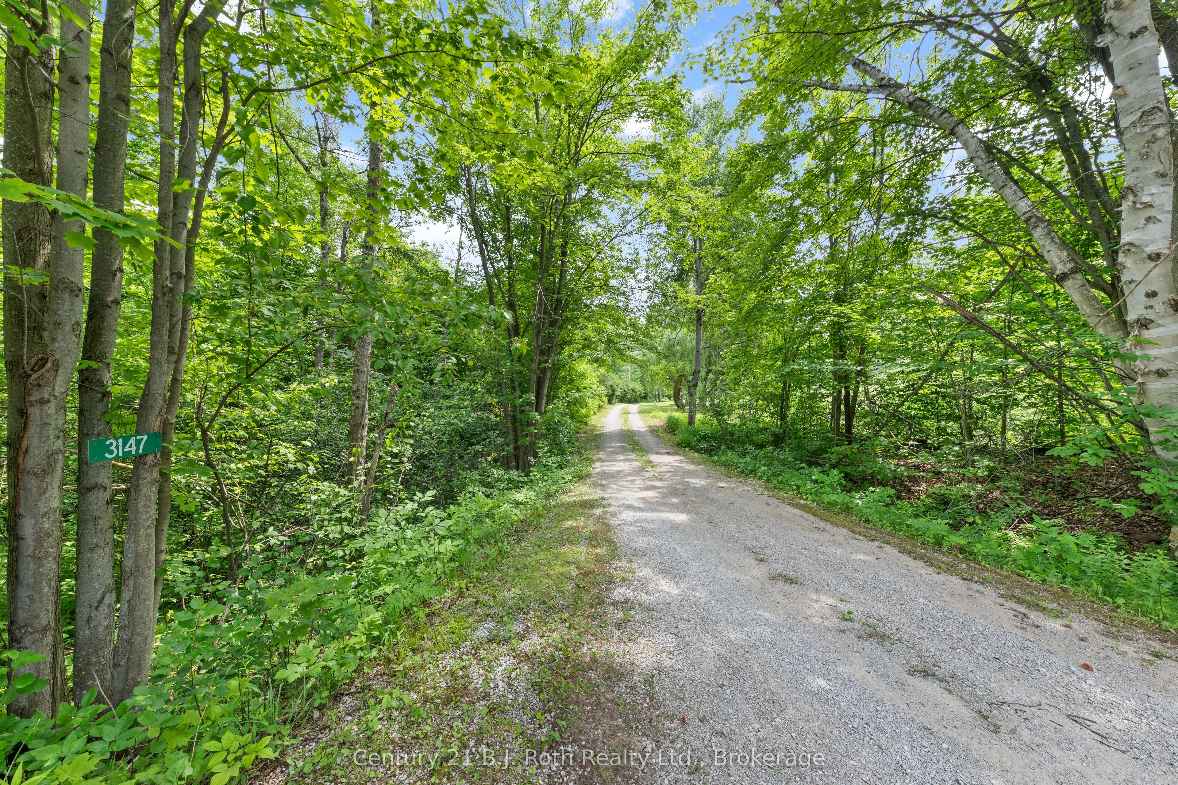 3147 Dalton Court