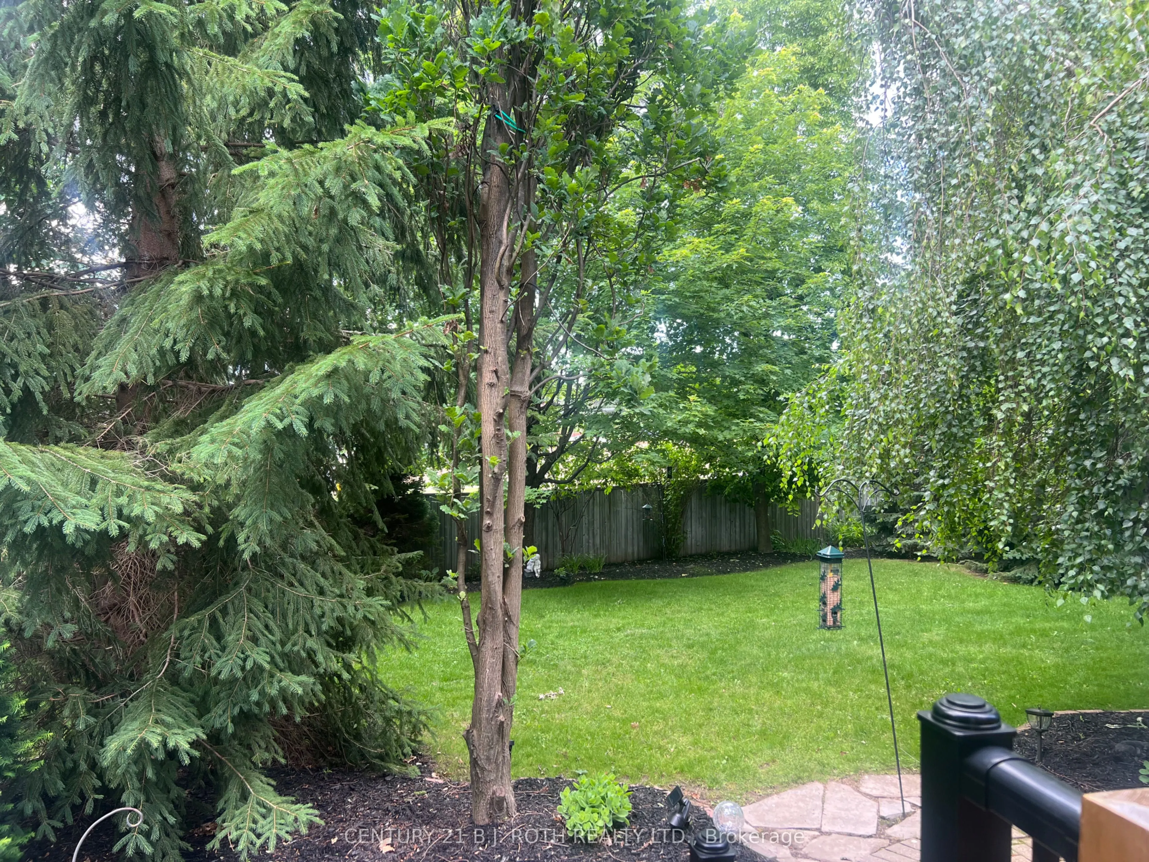 47 Looker Drive