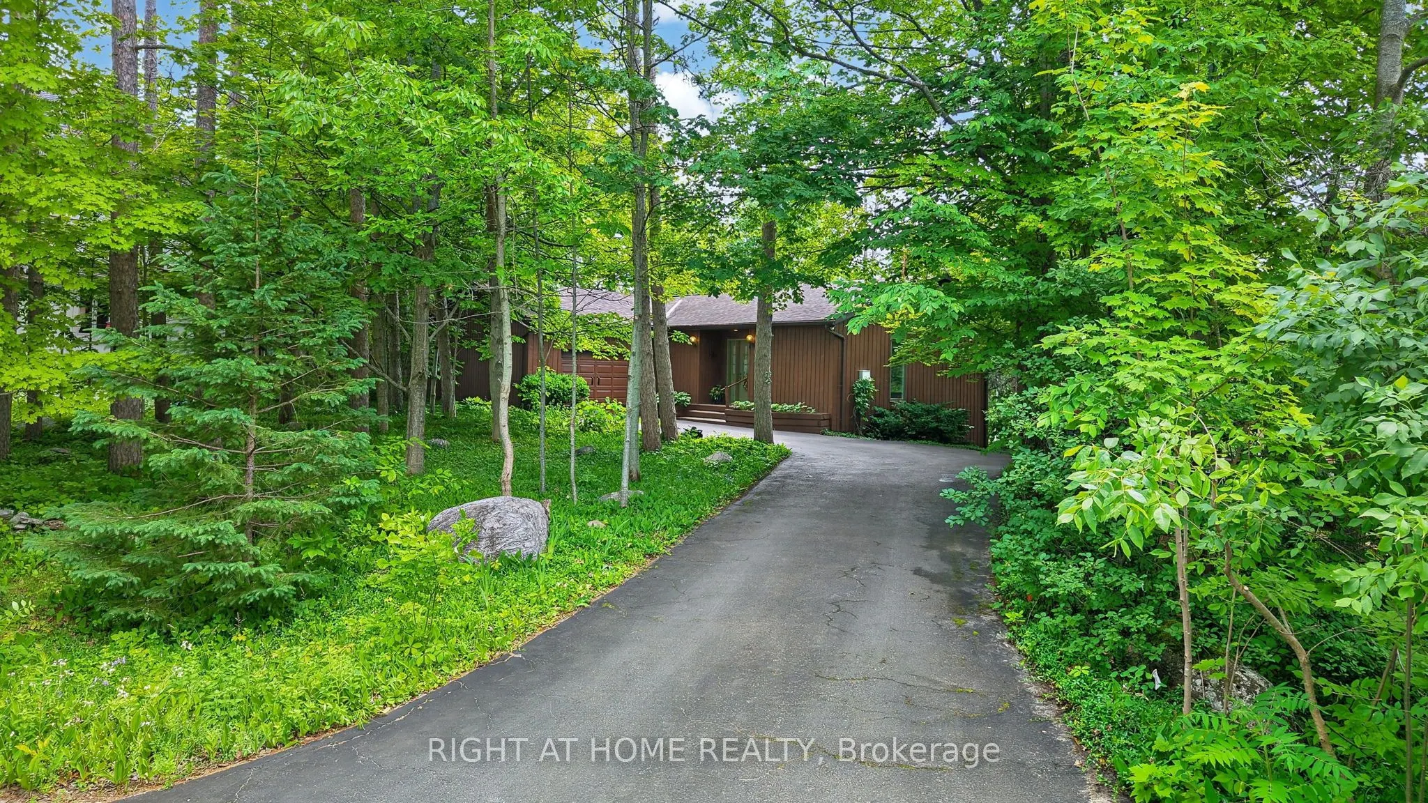 5 Pine Point