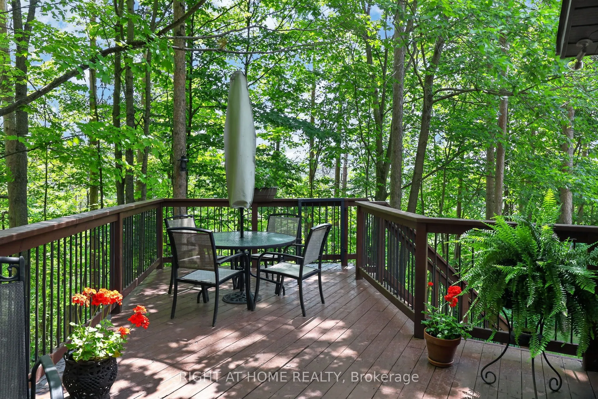 5 Pine Point