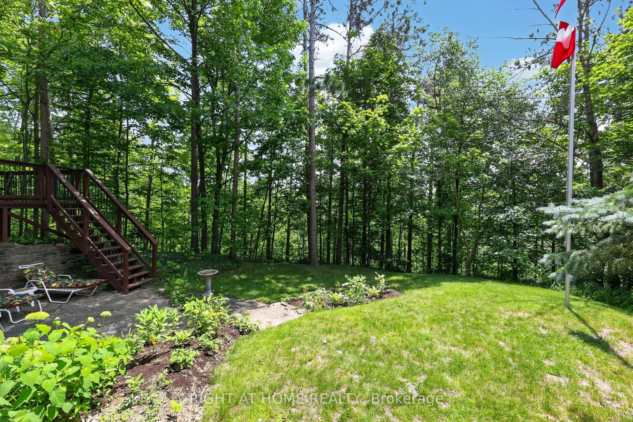 5 Pine Point