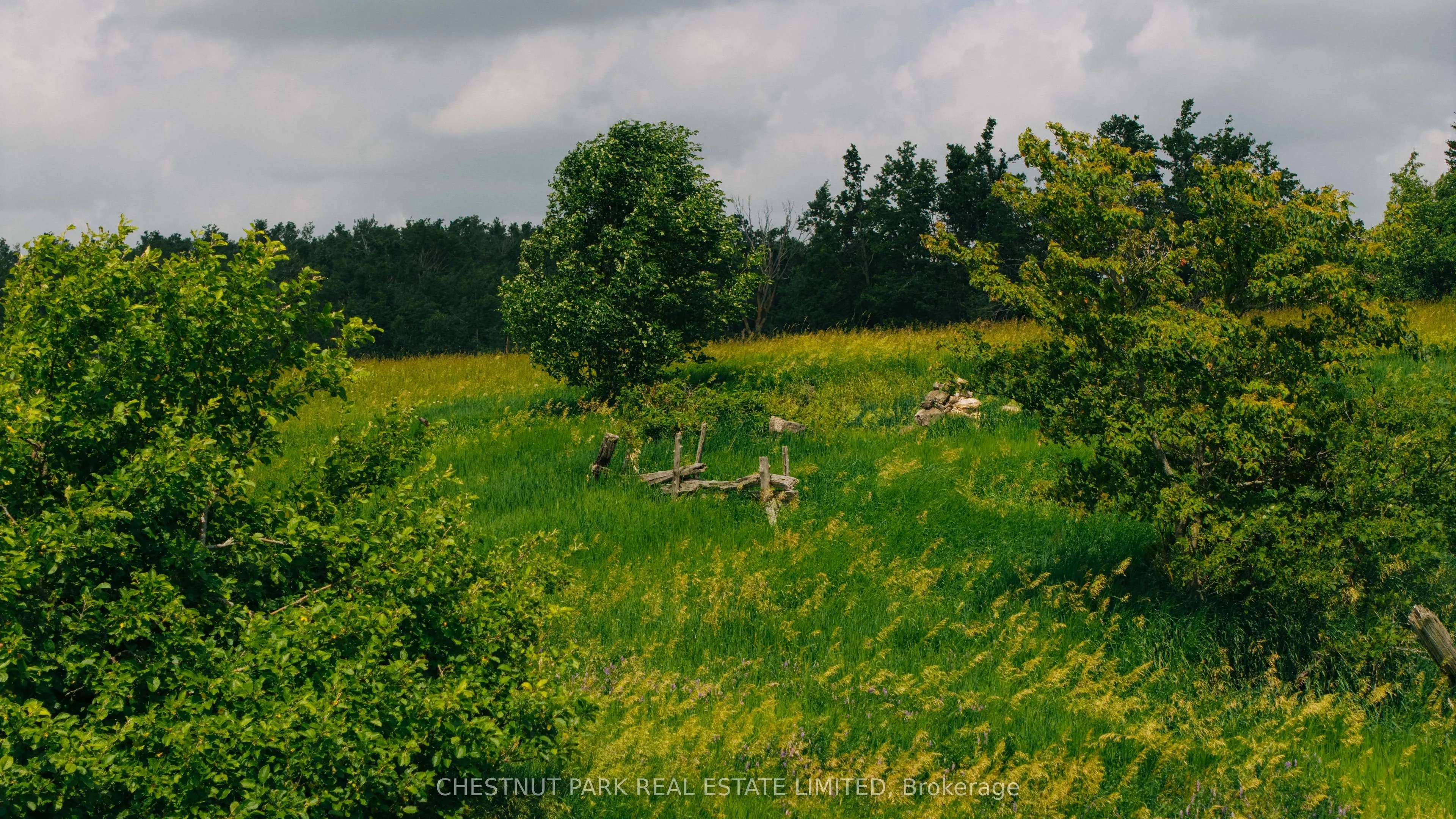 2726 10 Nottawasaga Concession S