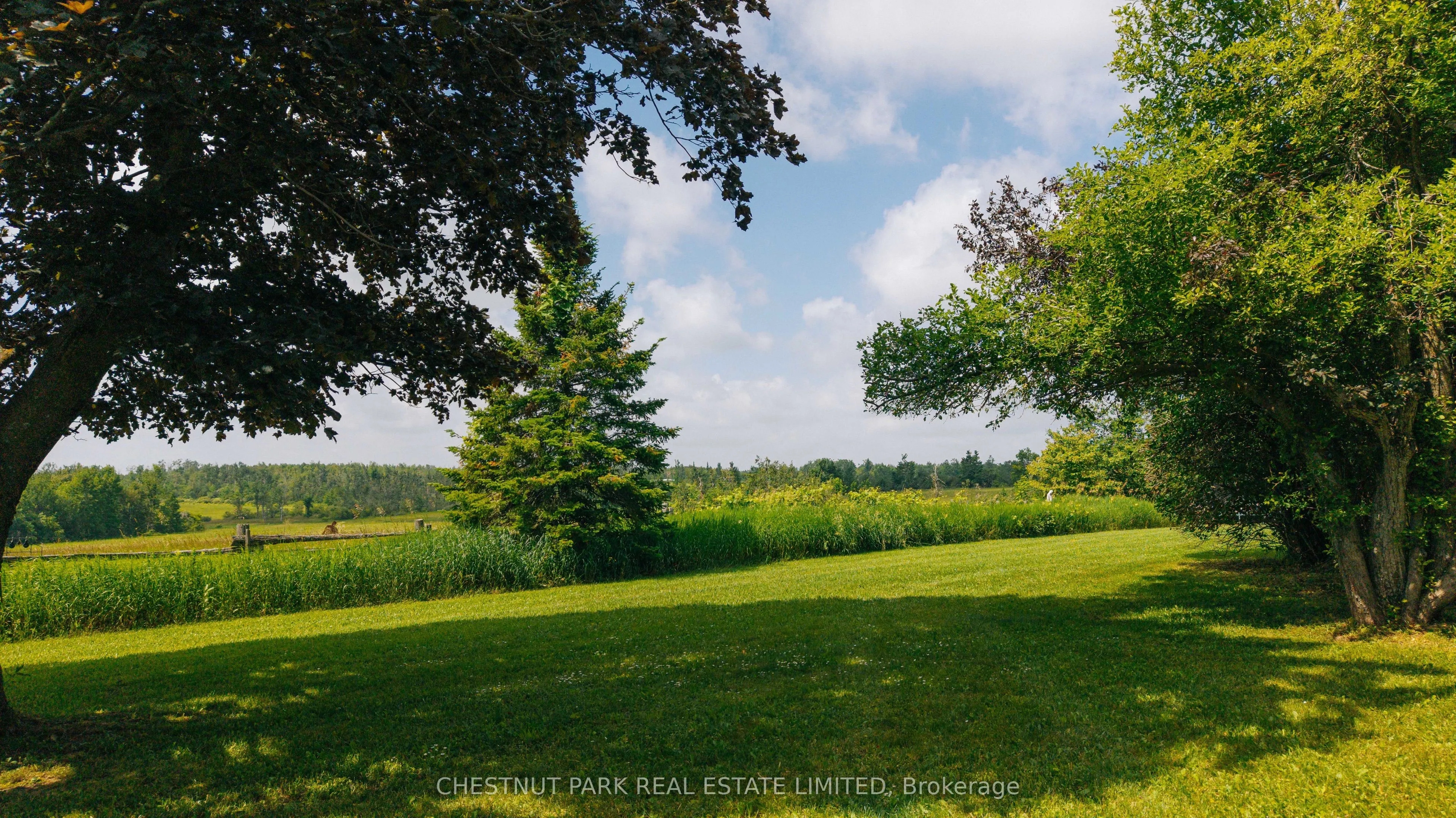 2726 10 Nottawasaga Concession S