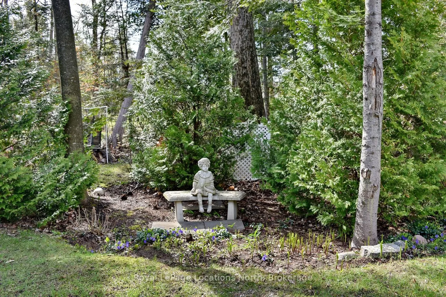 155 Lily Drive