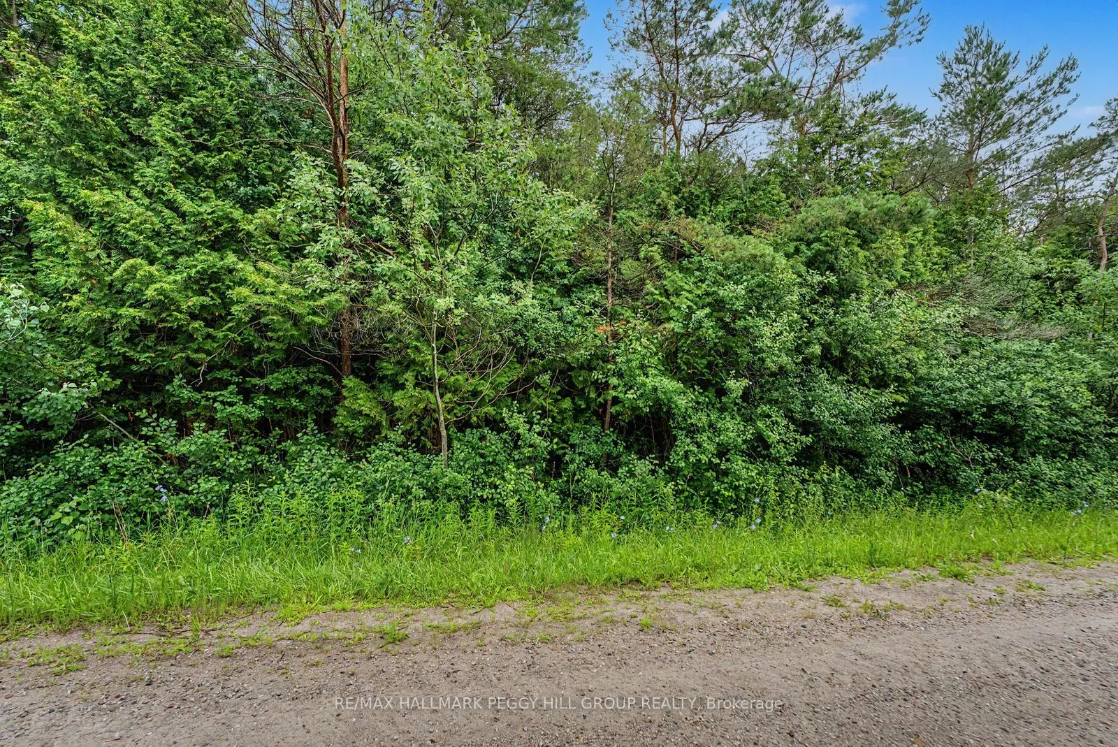 1659 County Road 92