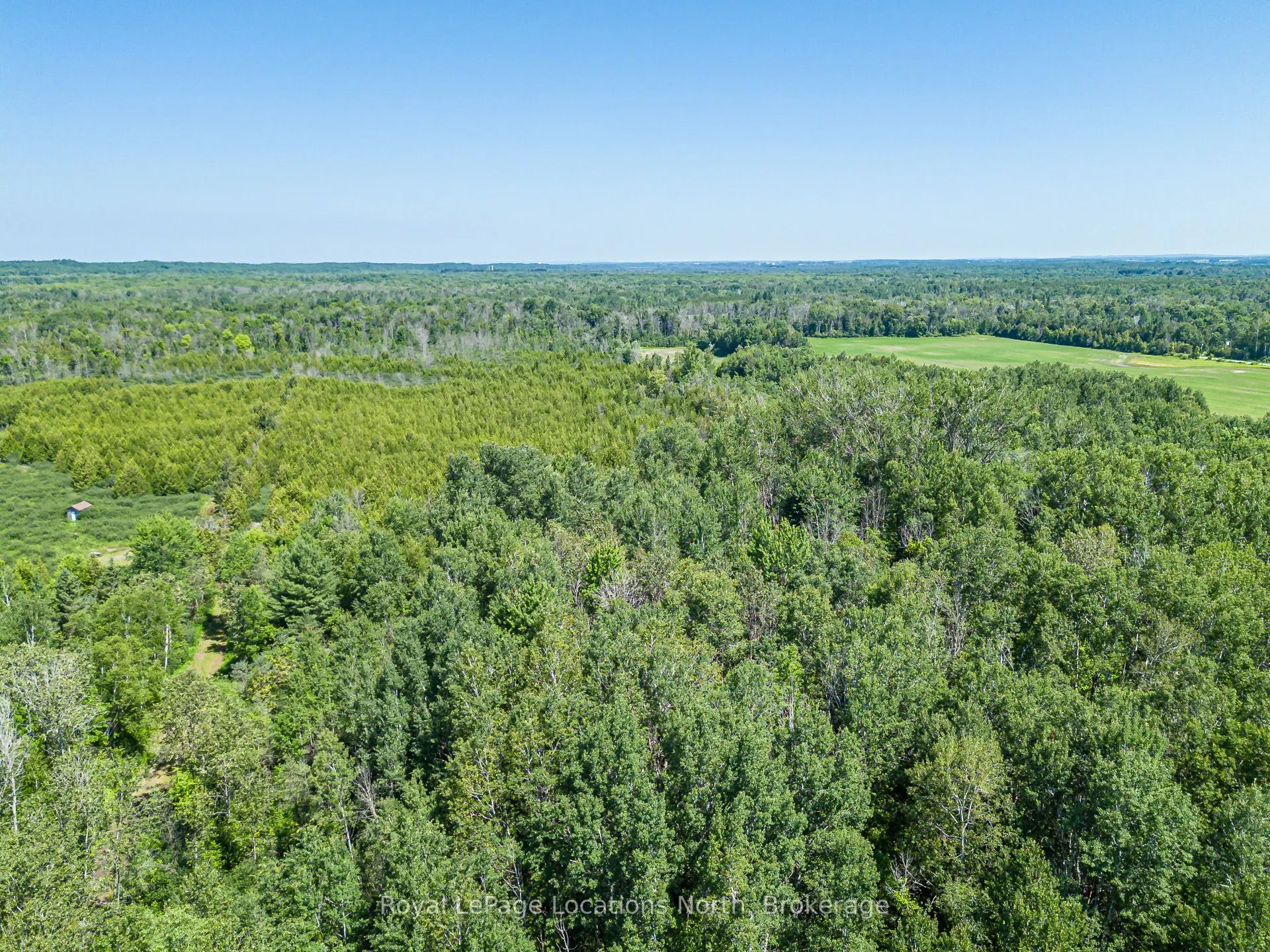 4080 12 Concession
