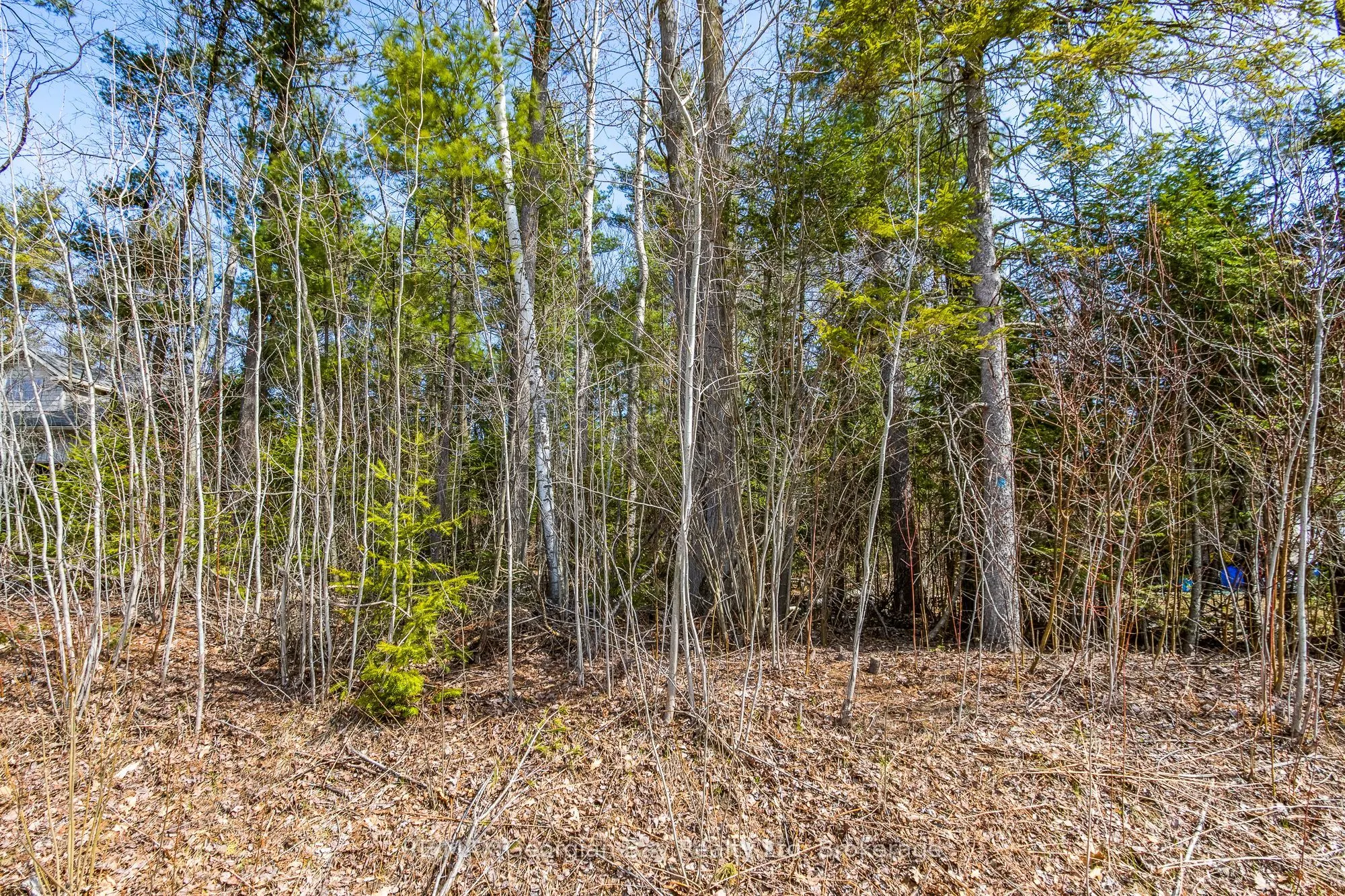 Lot 102 Emilio Street