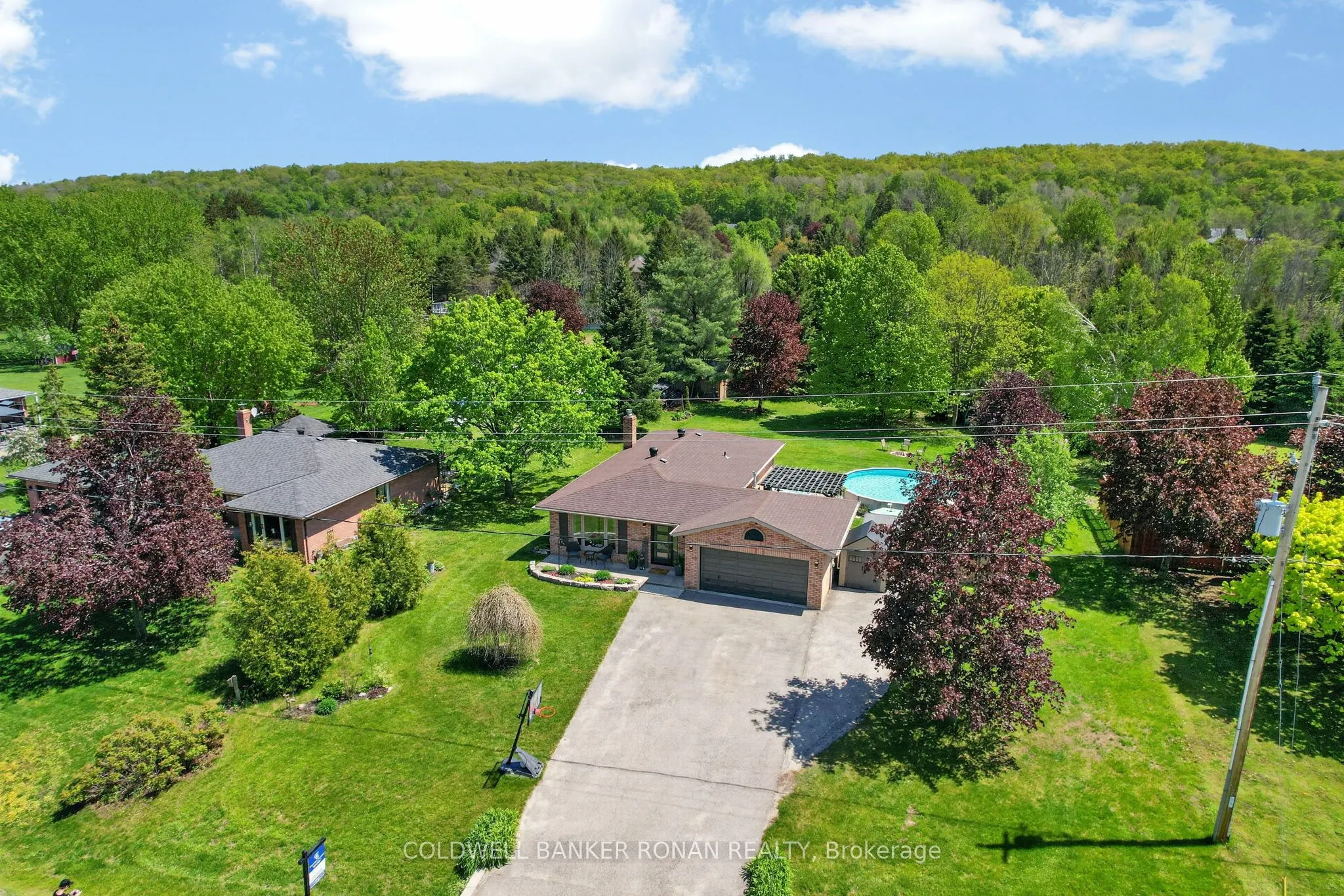 1959 Snow Valley Road