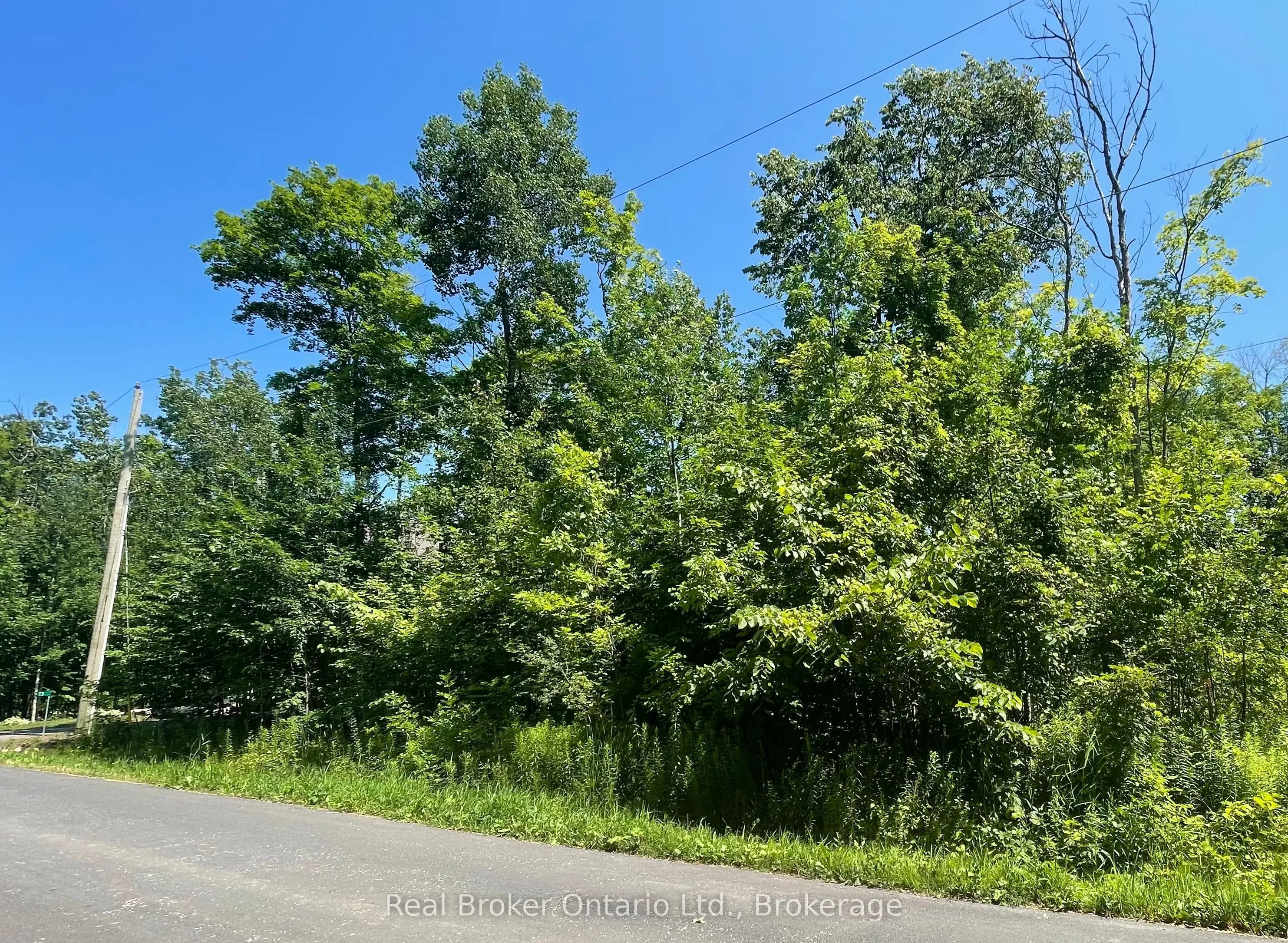 71 Wozniak Road