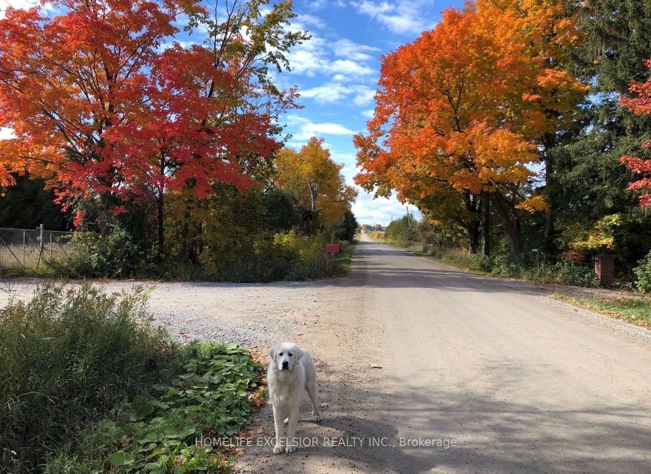 1854 Side Road 5 Road