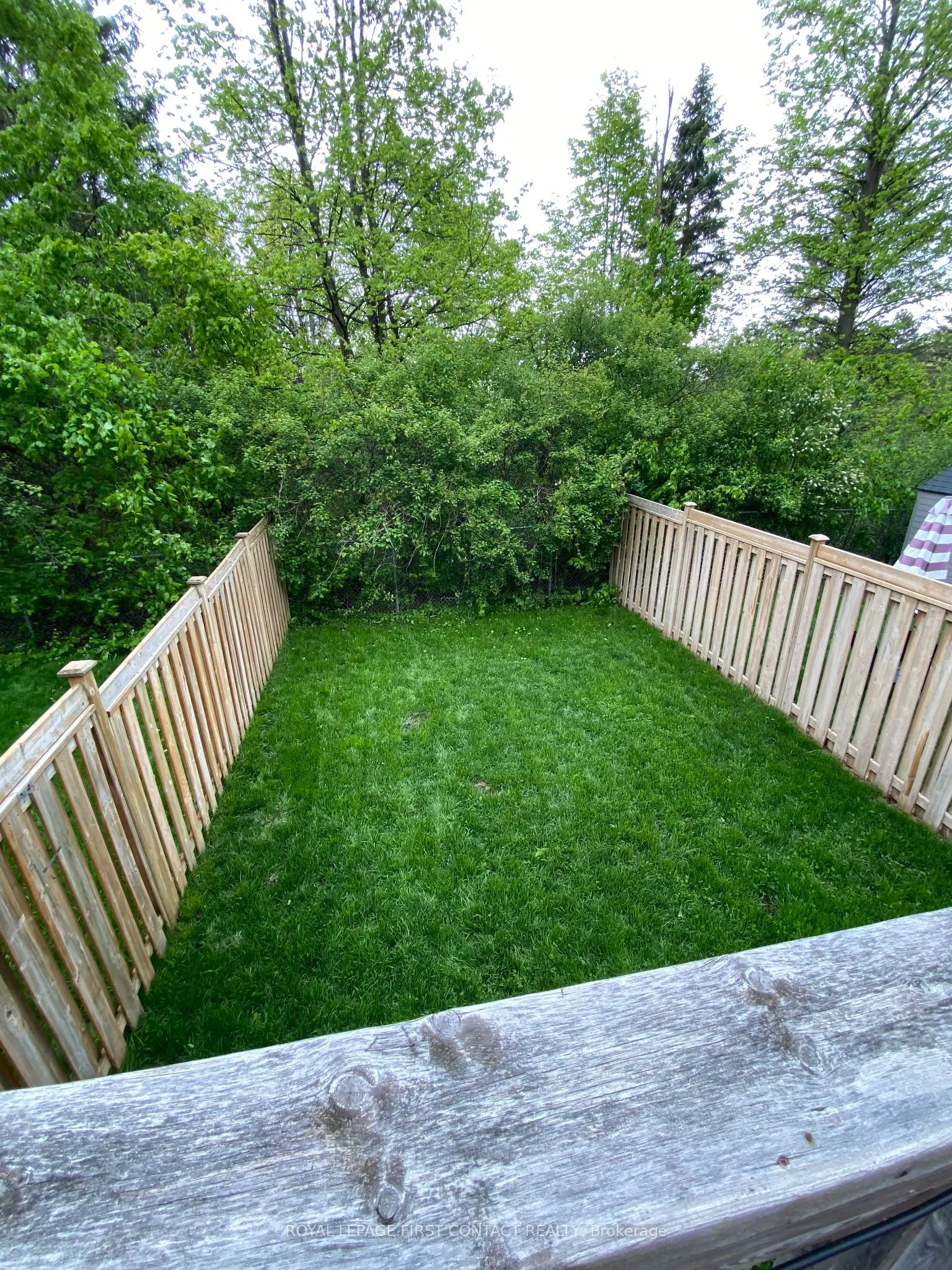 63 Sydenham