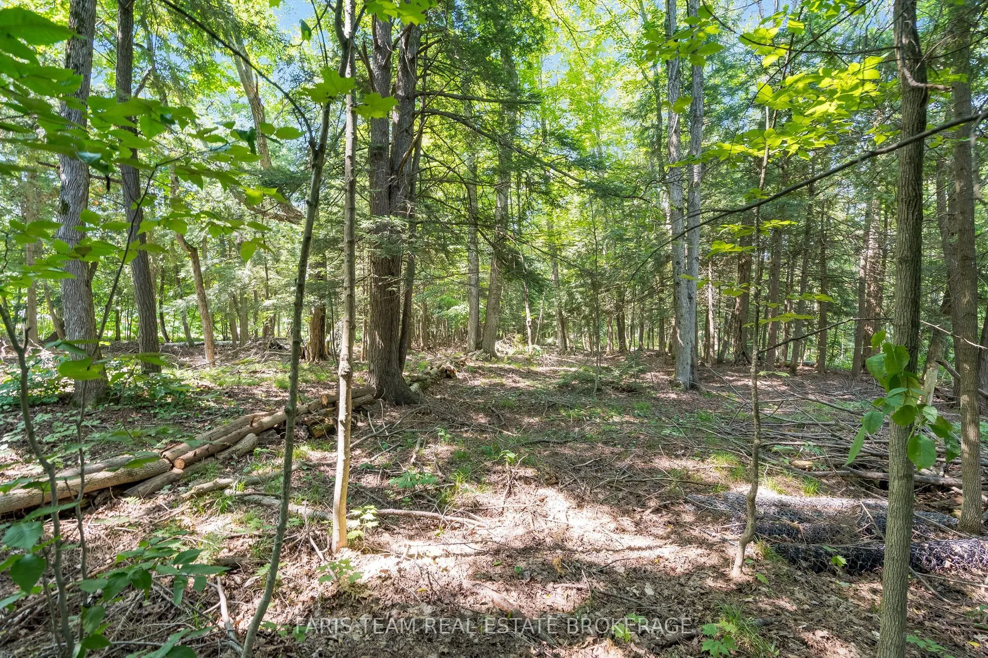 2122 Fern Glen Court