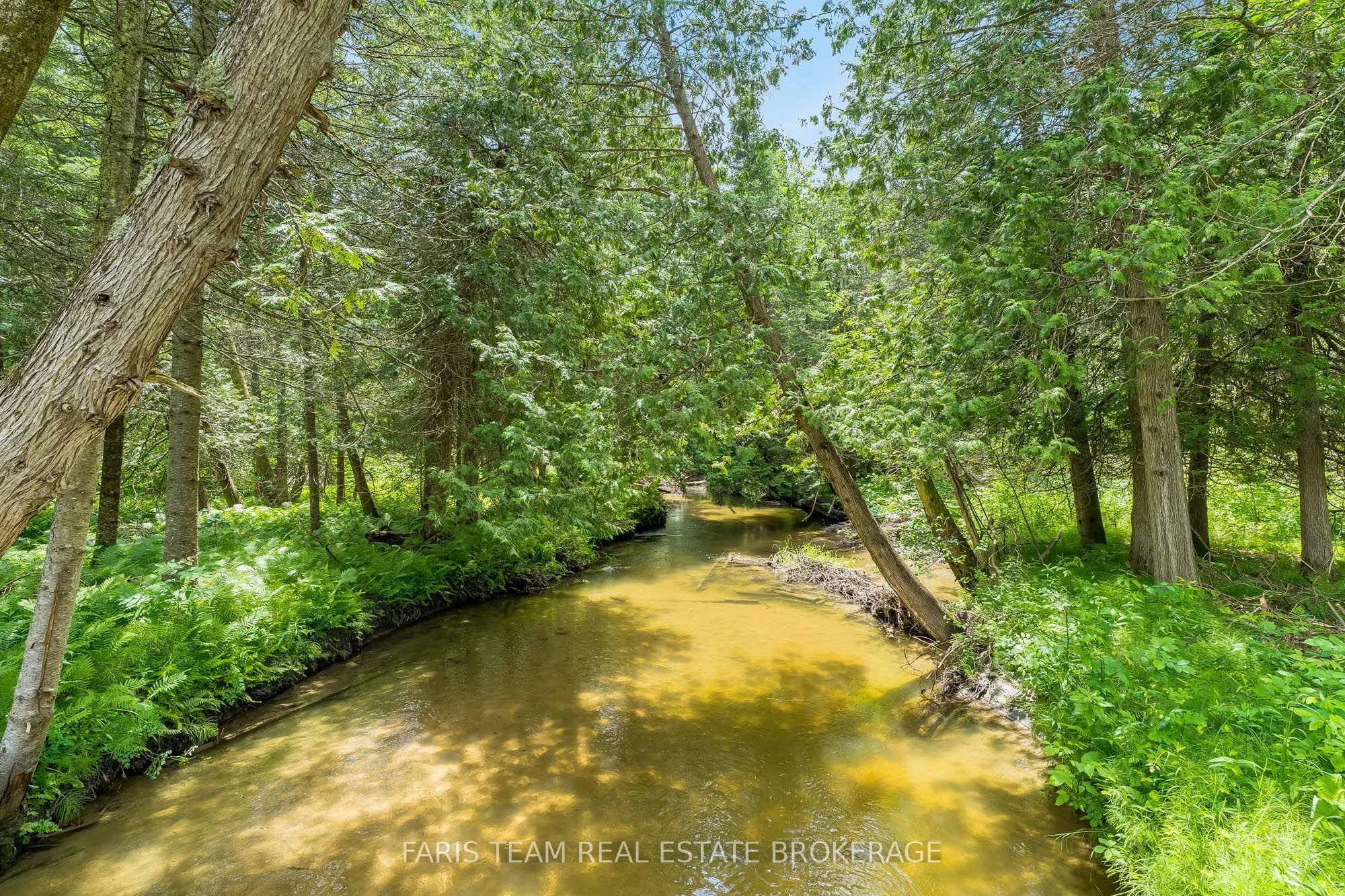 1076 Beaver Lane