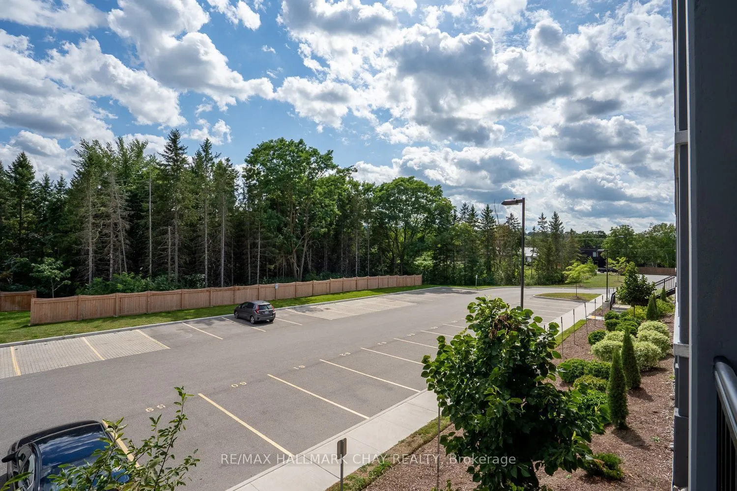 121 Mary Street #203