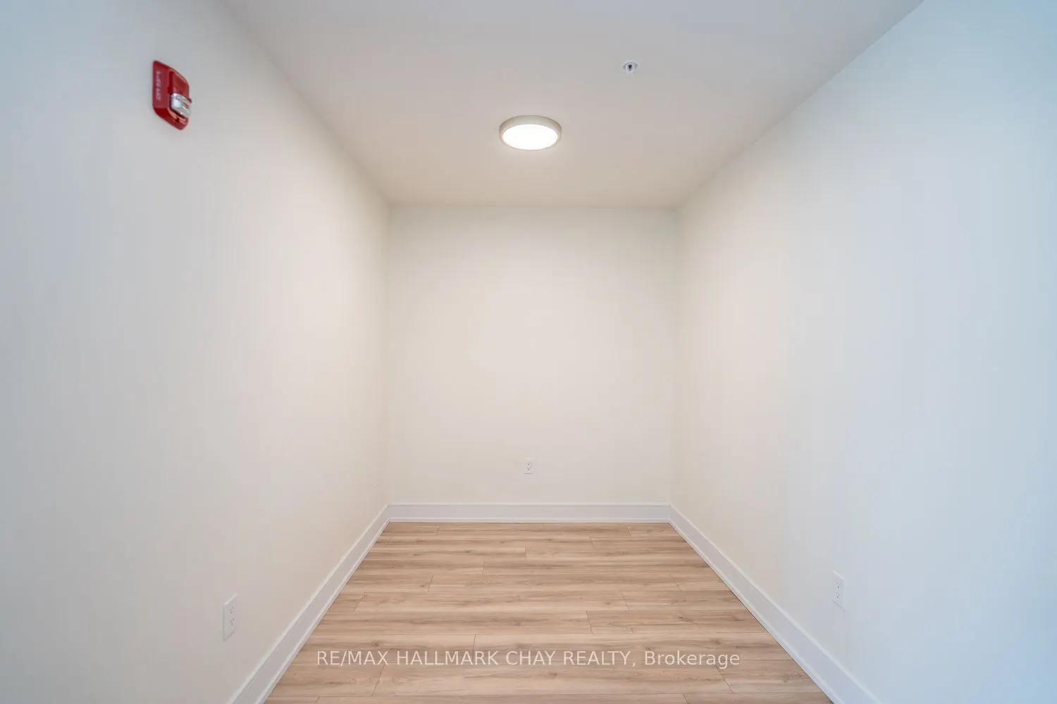 121 Mary Street #203
