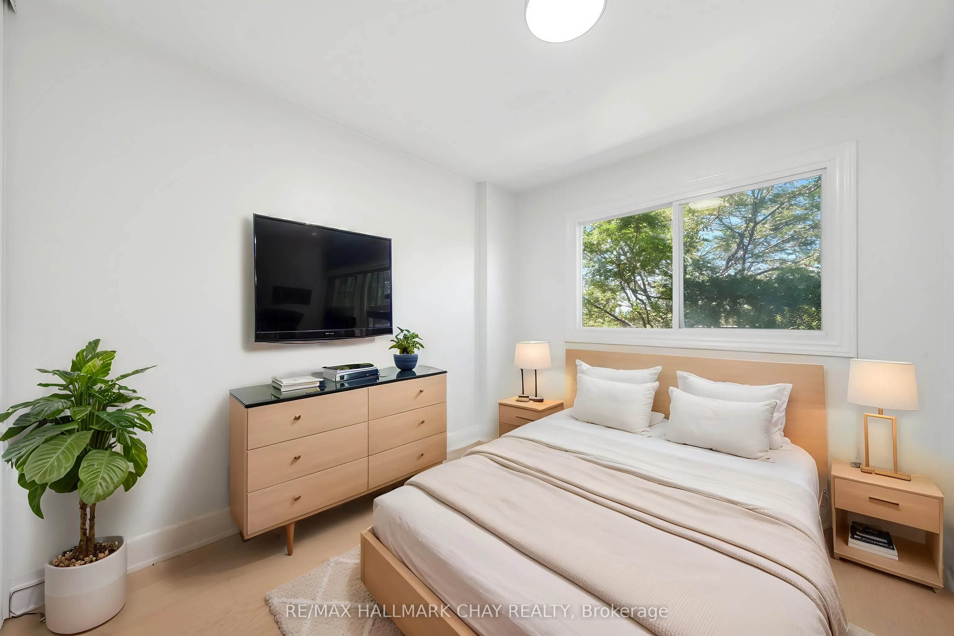52 Adelaide Street #6